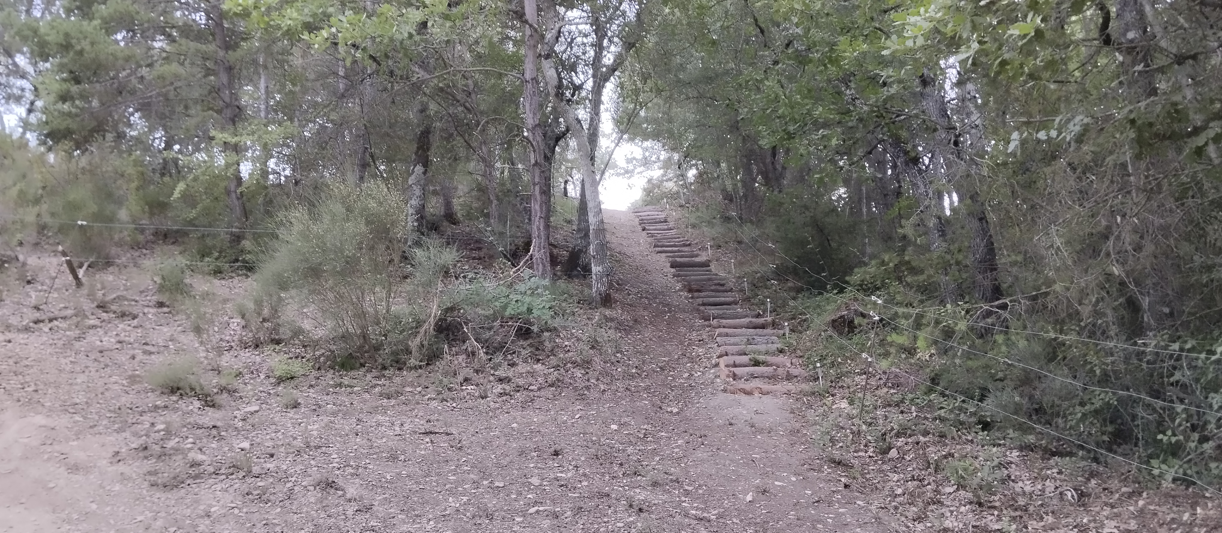 Roulotte connexion au vivant : une échappée en Provence à Esparron De Verdon — détail architectural