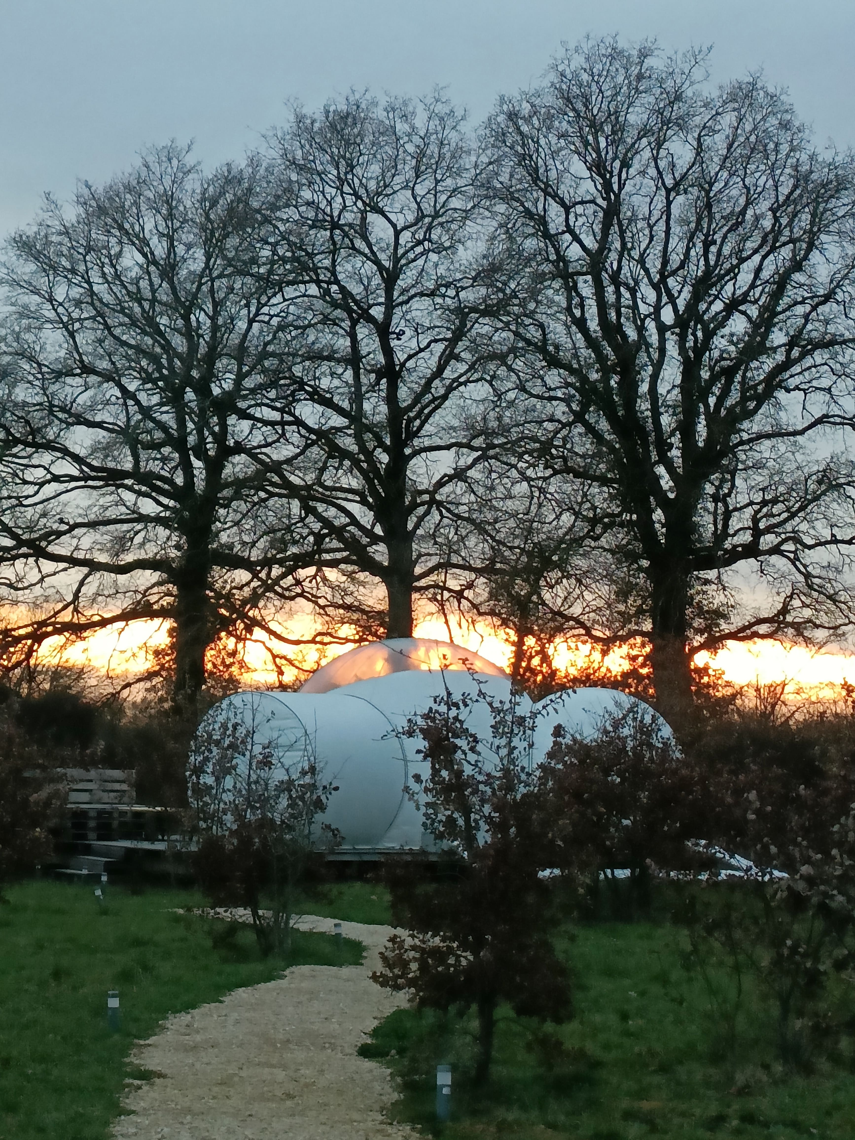 Reine des Prés - Pré en Bulles