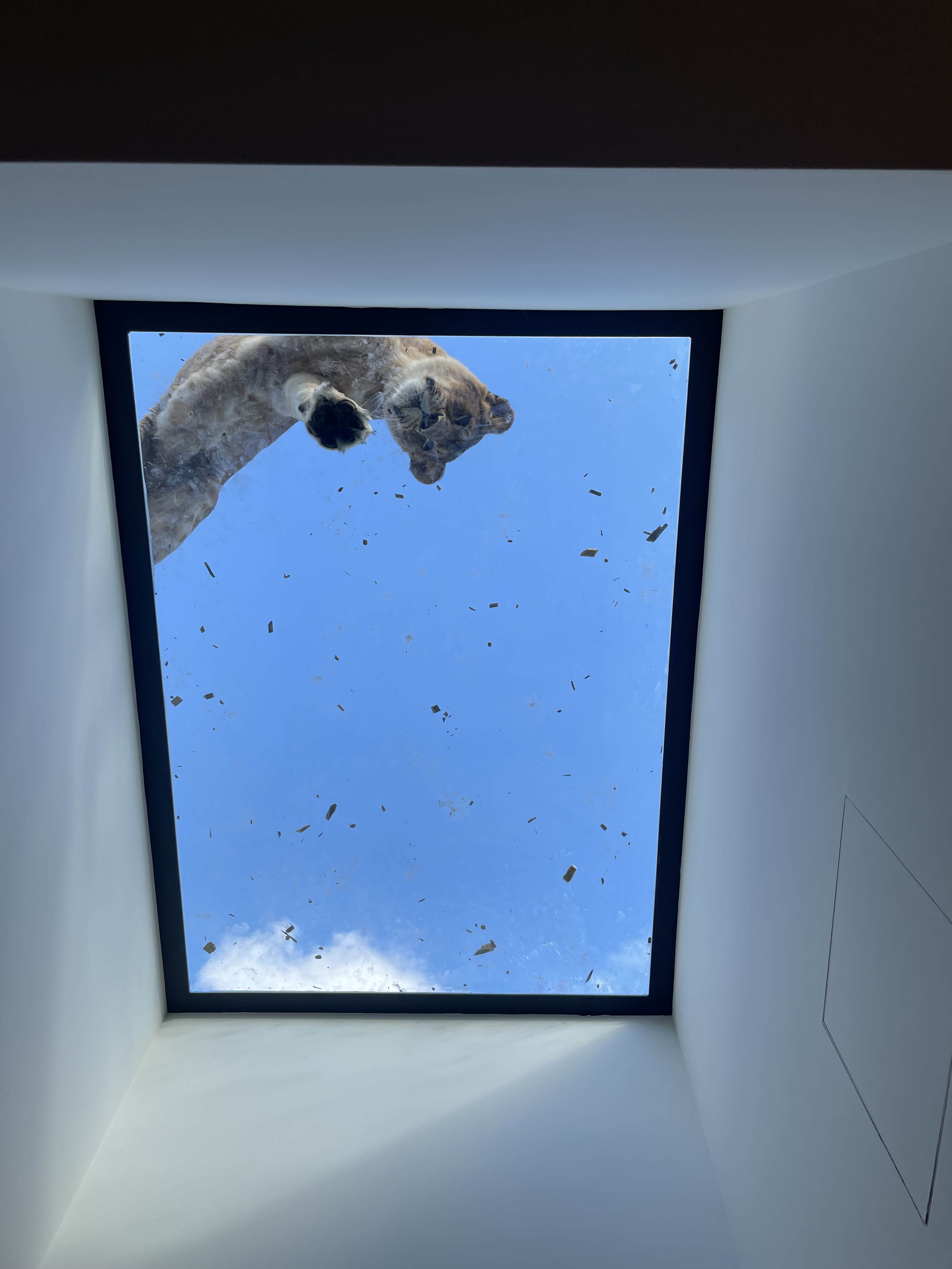 Lodge Lions : une expérience immersive en Aquitaine à Pessac — vue depuis la terrasse