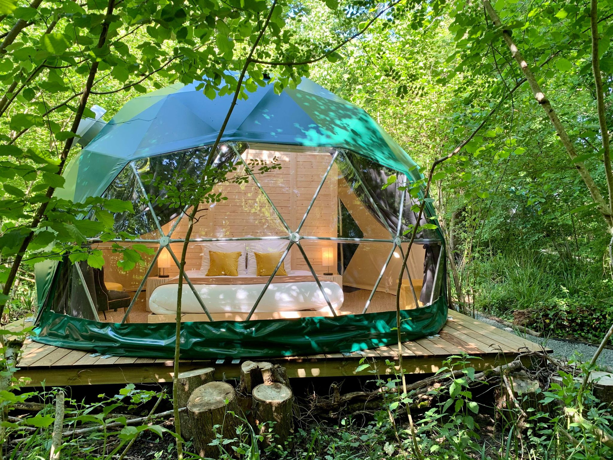 Géode Frêne Doré — Dôme avec spa à 180° sur la forêt en Gironde