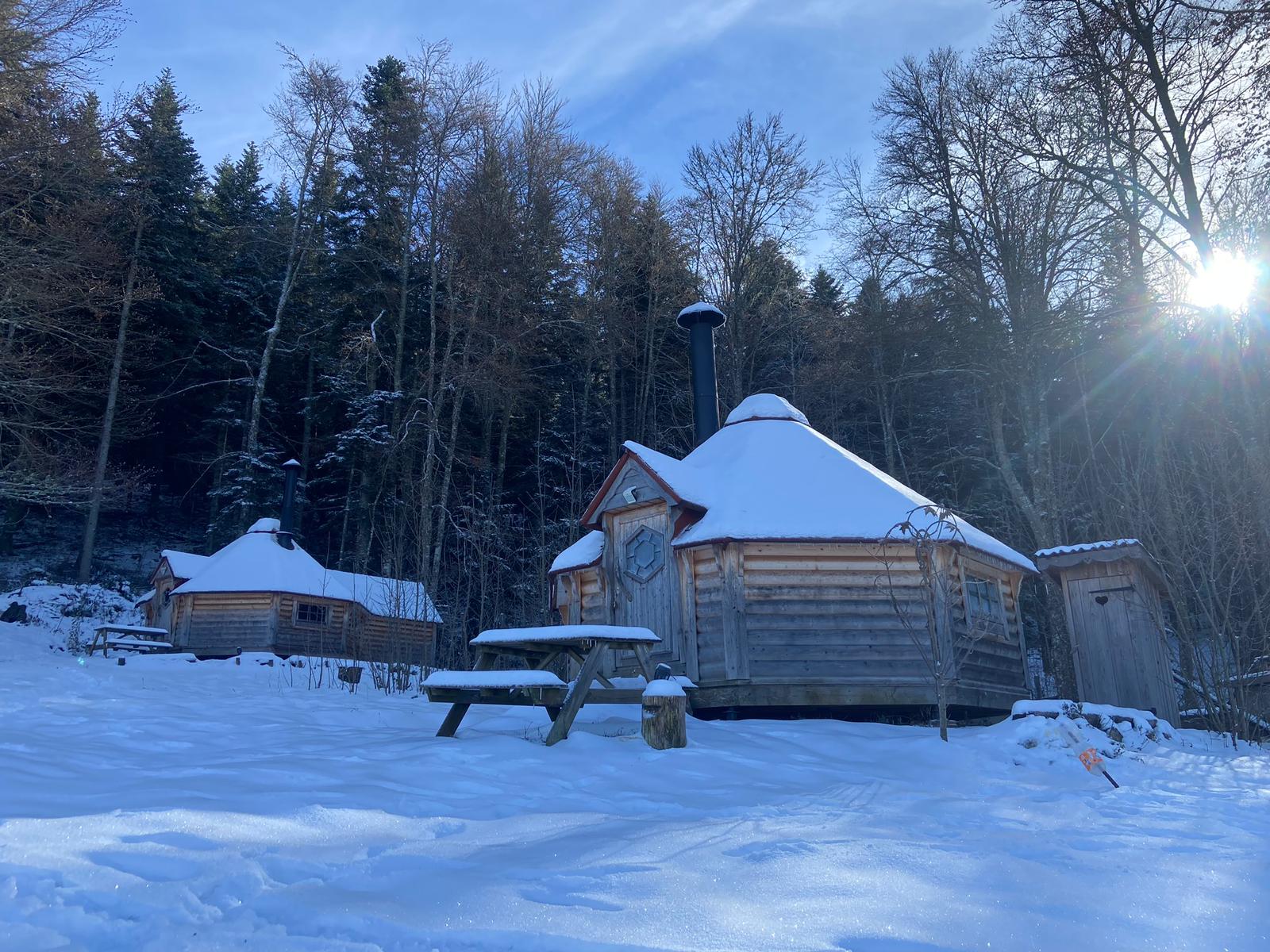 Kota 3 Inari - Une immersion inoubliable auprès des huskies