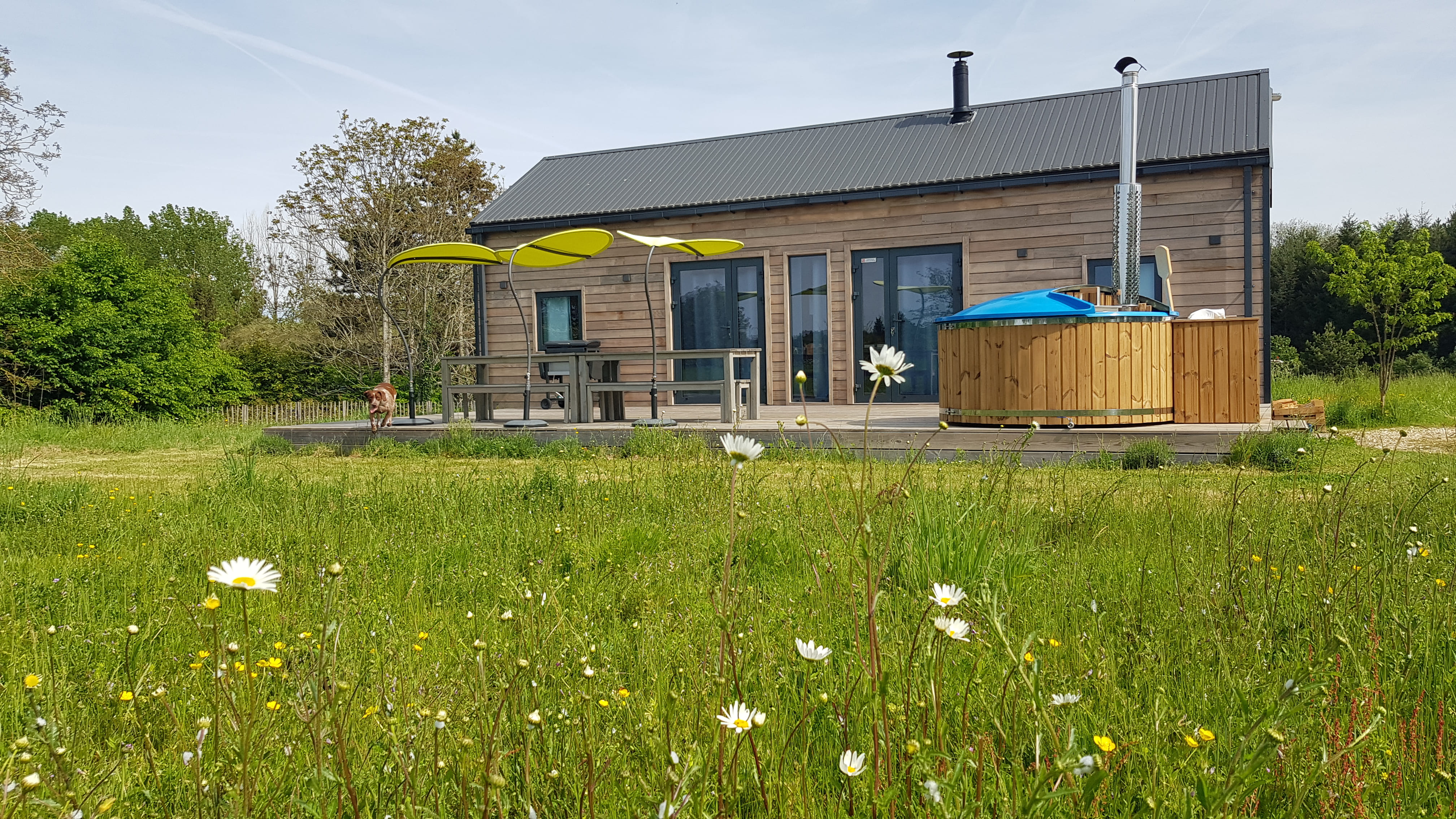 Cabane du Renard — Ecolodge avec spa à Loir-et-Cher