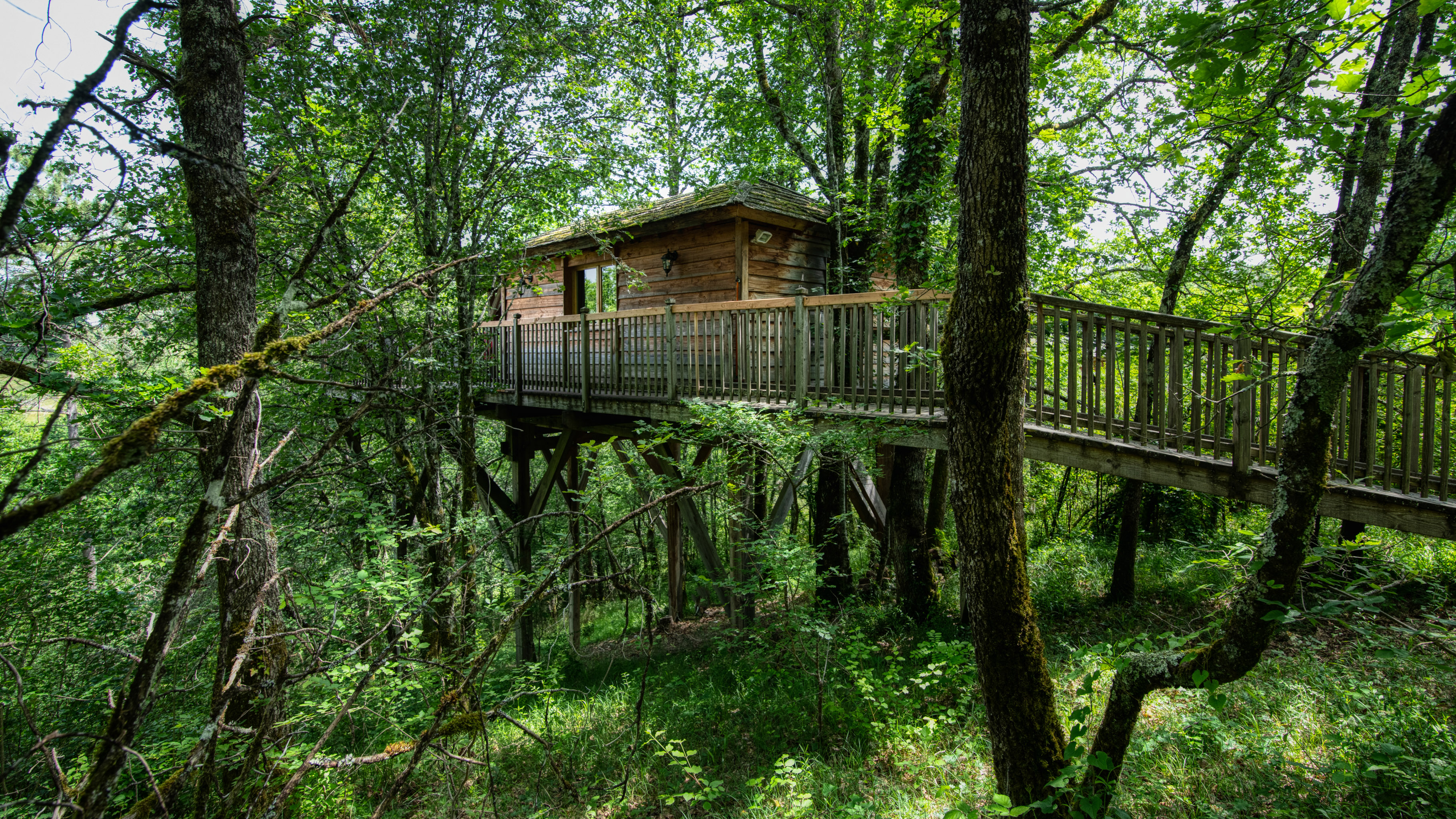 Évasion en cabane perchée avec spa en Midi-Pyrénées à Puygaillard De Quercy — espace de vie