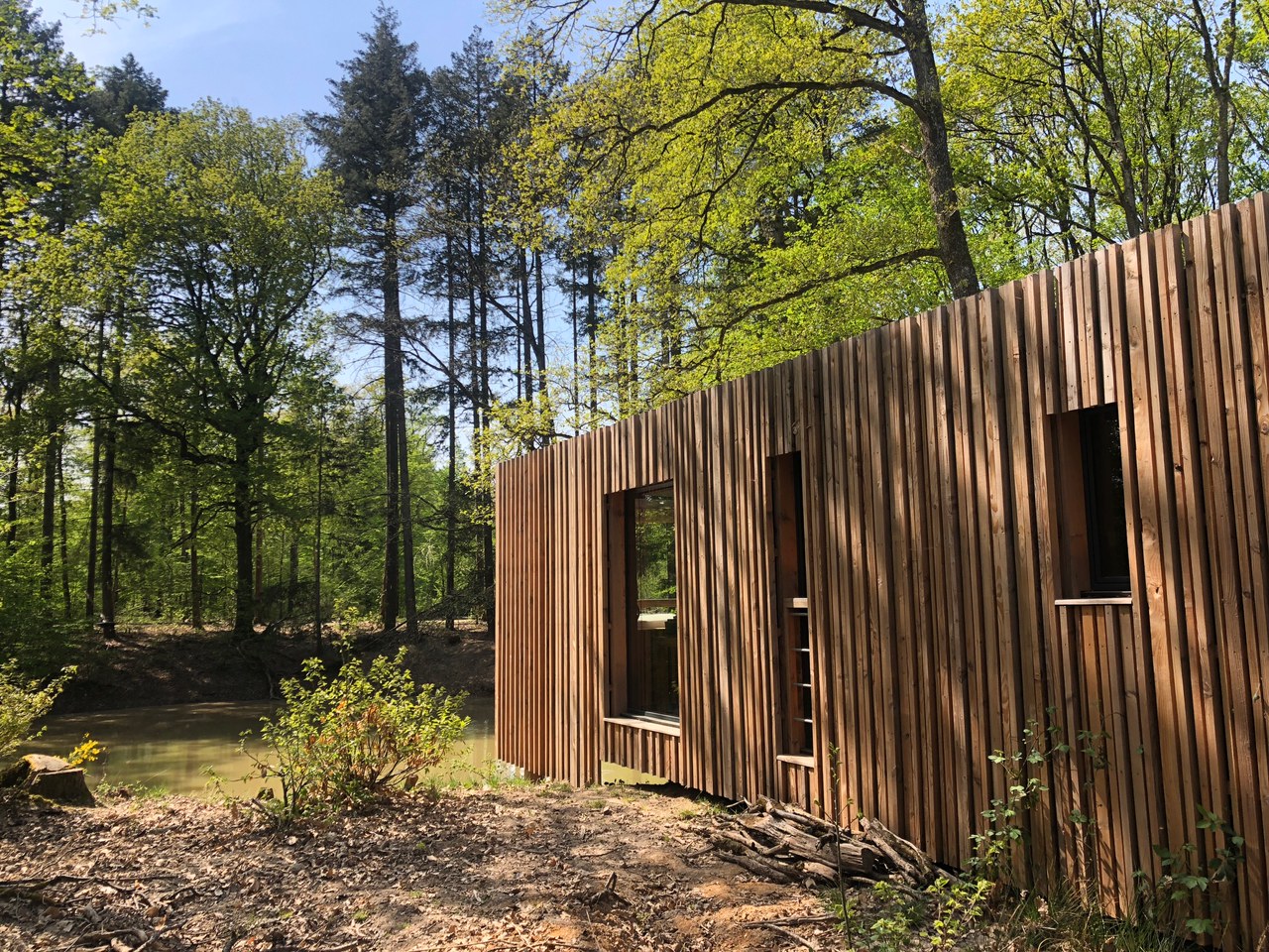 Évasion sensorielle dans une suite avec spa et sauna à Esvres-Sur-Indre — espace de vie