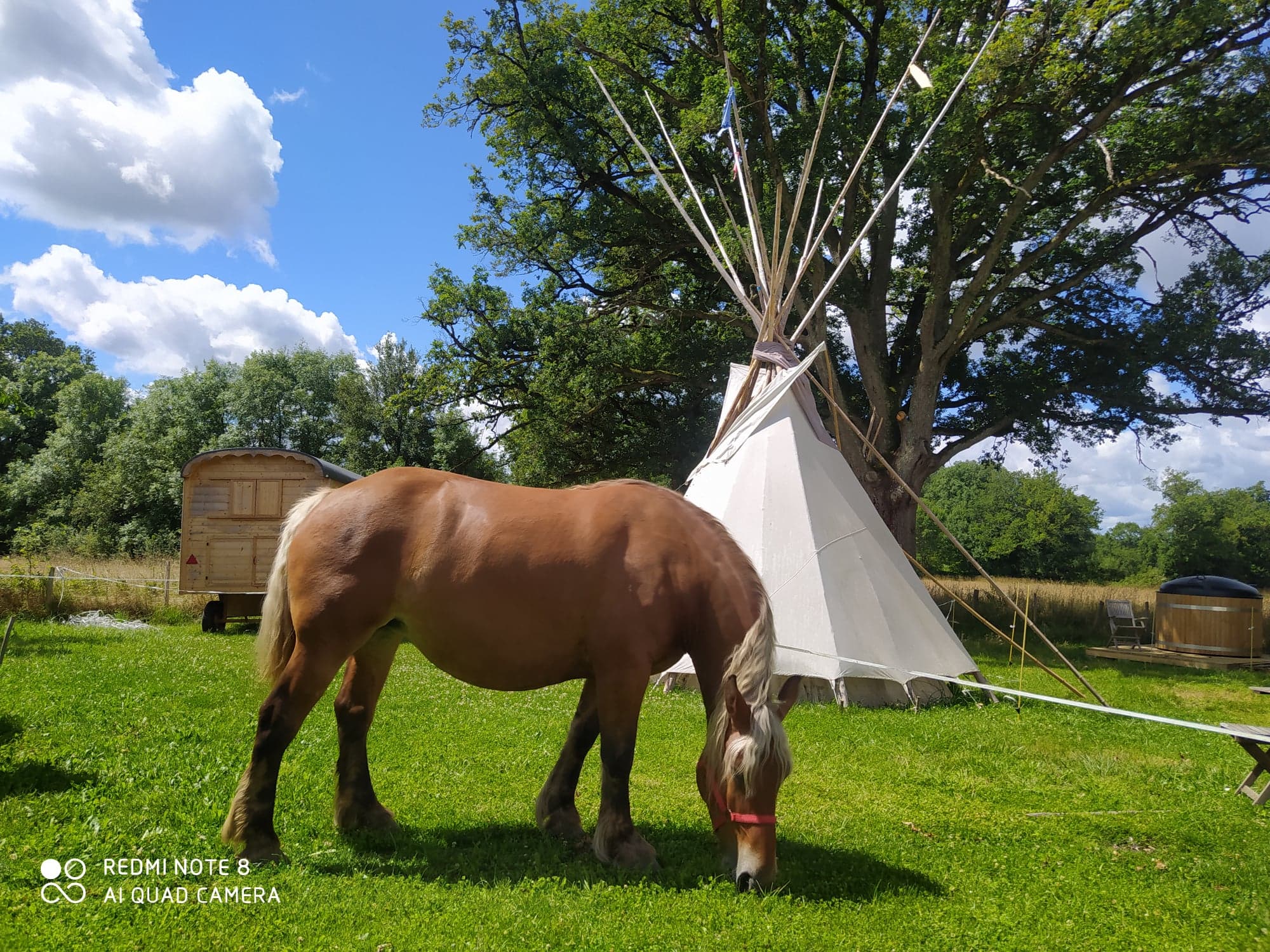 Vivez l'expérience unique du Tipi Sioux en Limousin à Saint Martial Sur Isop — espace de vie