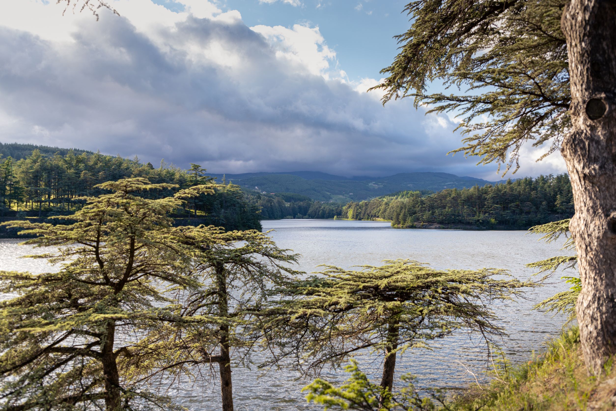 La Chapelle-Moulin & SPA — Nuit romantique dans une cascade à Loire à Bourg-Argental — environnement naturel
