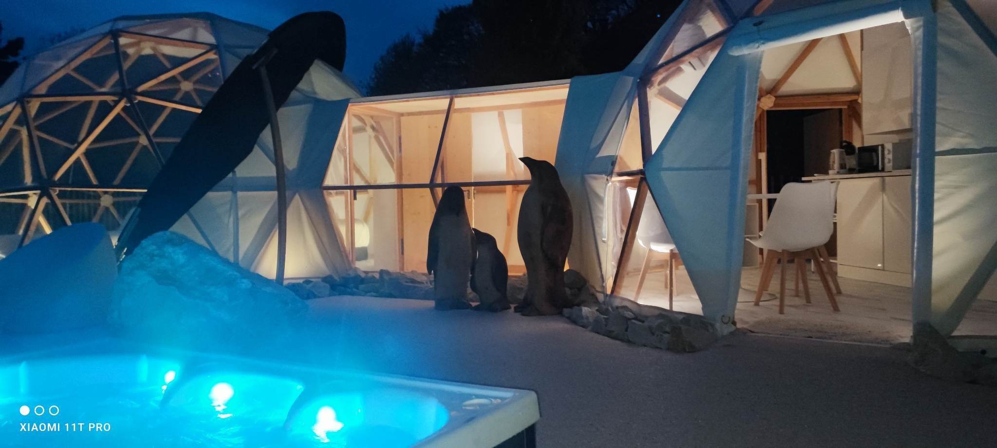 L'Igloo & Spa — Séjour unique en igloo à Haute-Saône à Andelarrot — vue intérieure