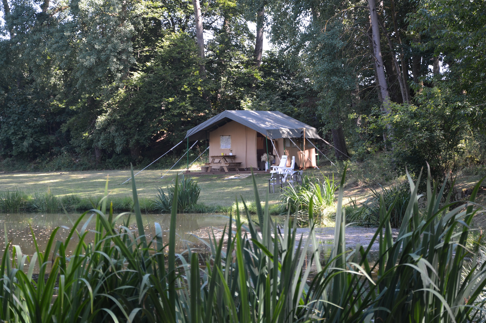 Tente Safari Lodge : une immersion au cœur de l'Auvergne