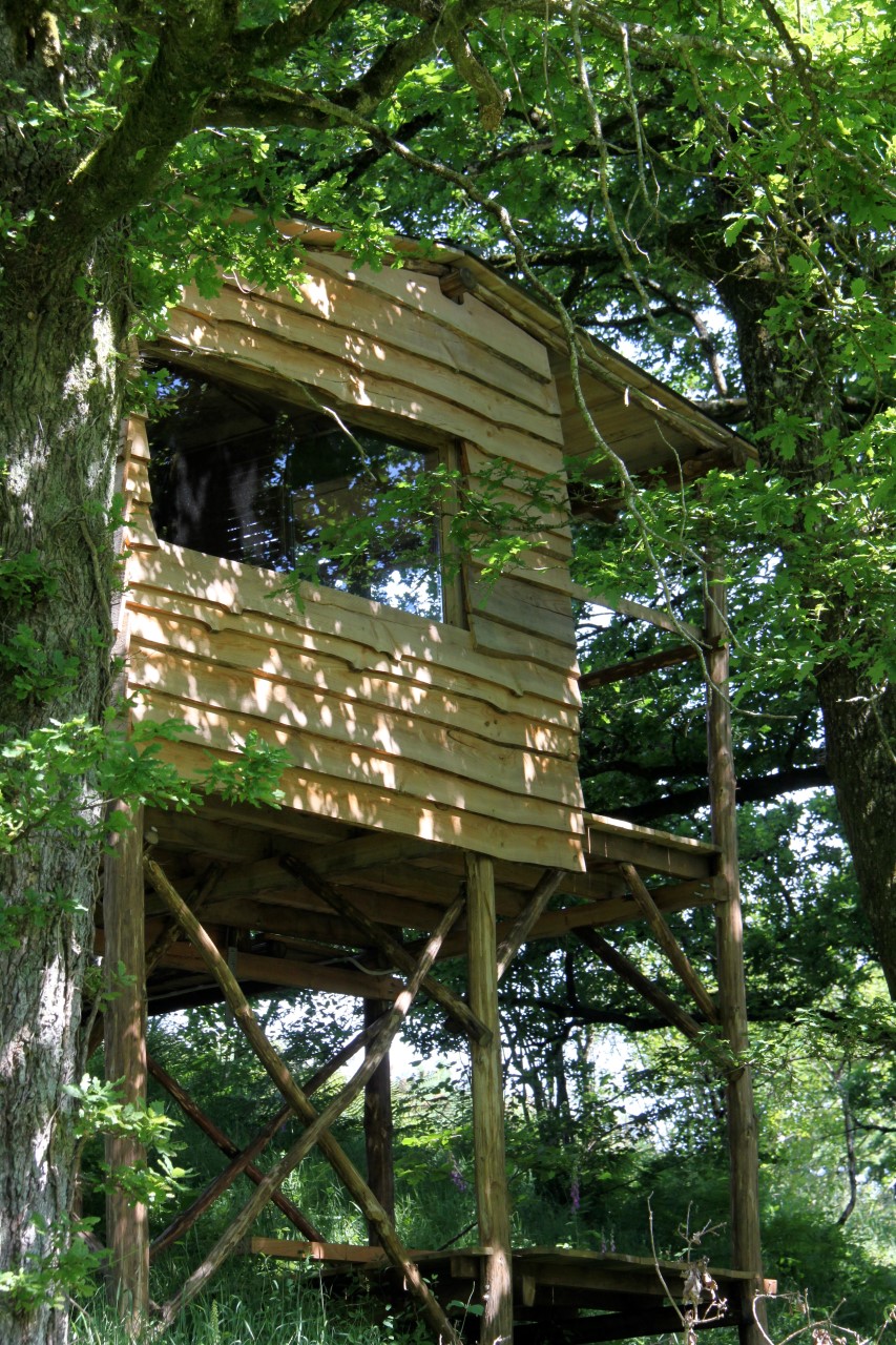 Chambre Nid 2 : une cabane au cœur des Pays de la Loire à Les Epesses — espace de vie