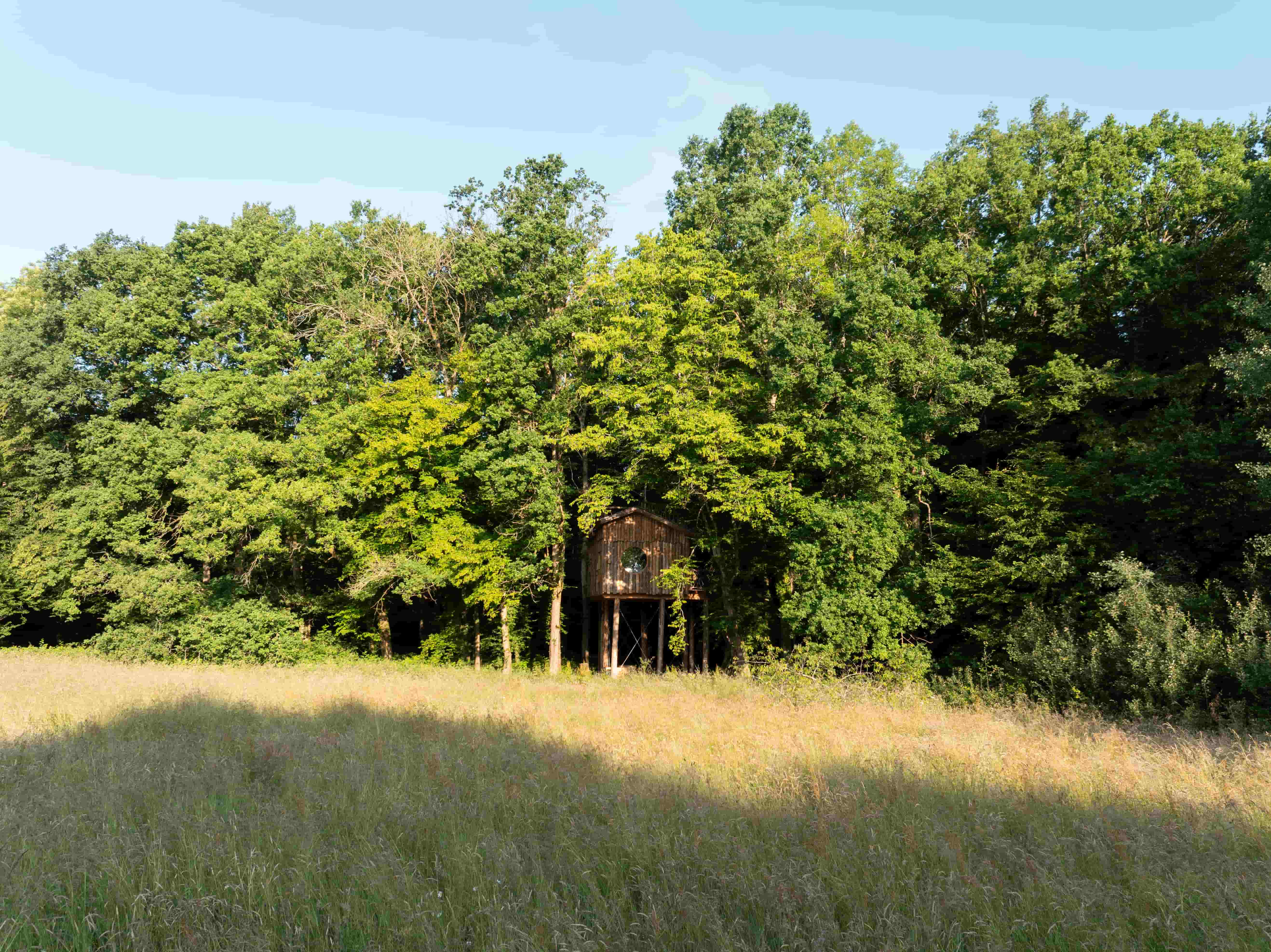 Cabane Spa Nid des Bois : une évasion en hauteur en Picardie