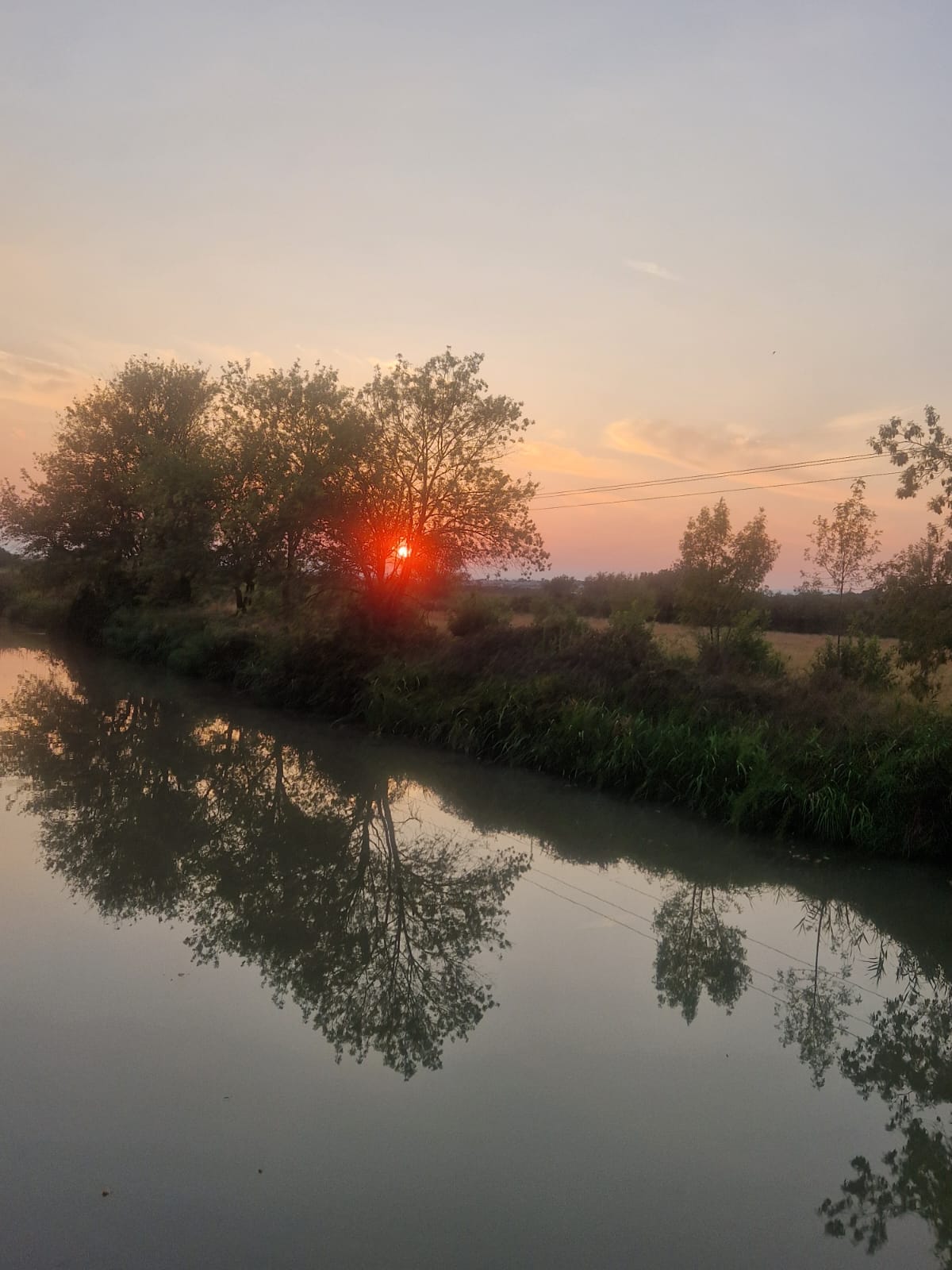 Péniche Ajoa — Bateau spacieux avec spa à Portiragnes (Hérault) à Portiragnes — environnement naturel