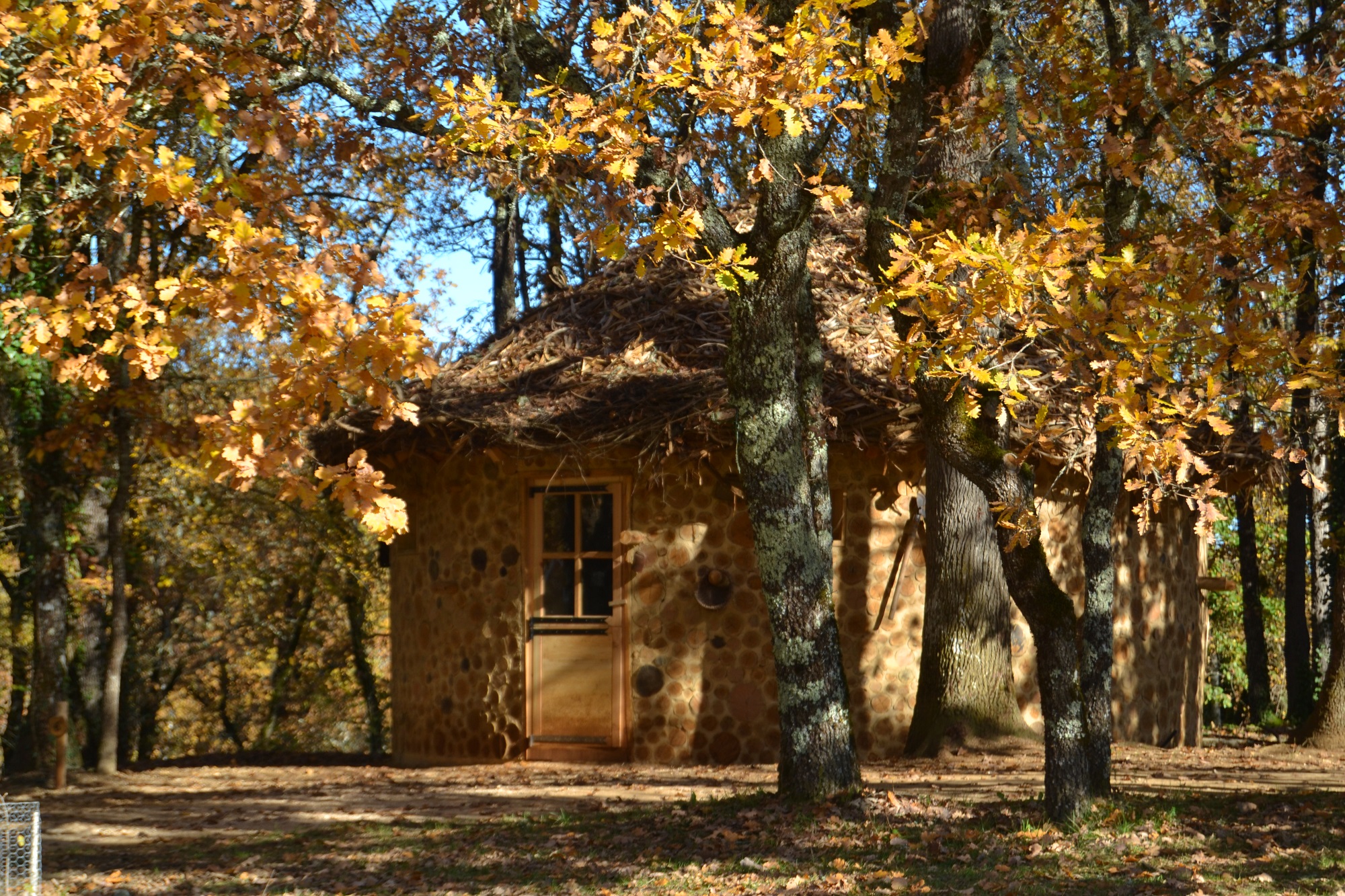 La Bela Sorga — Cabane à 6 mètres de hauteur en Dordogne à Saint Amand De Coly — cuisine