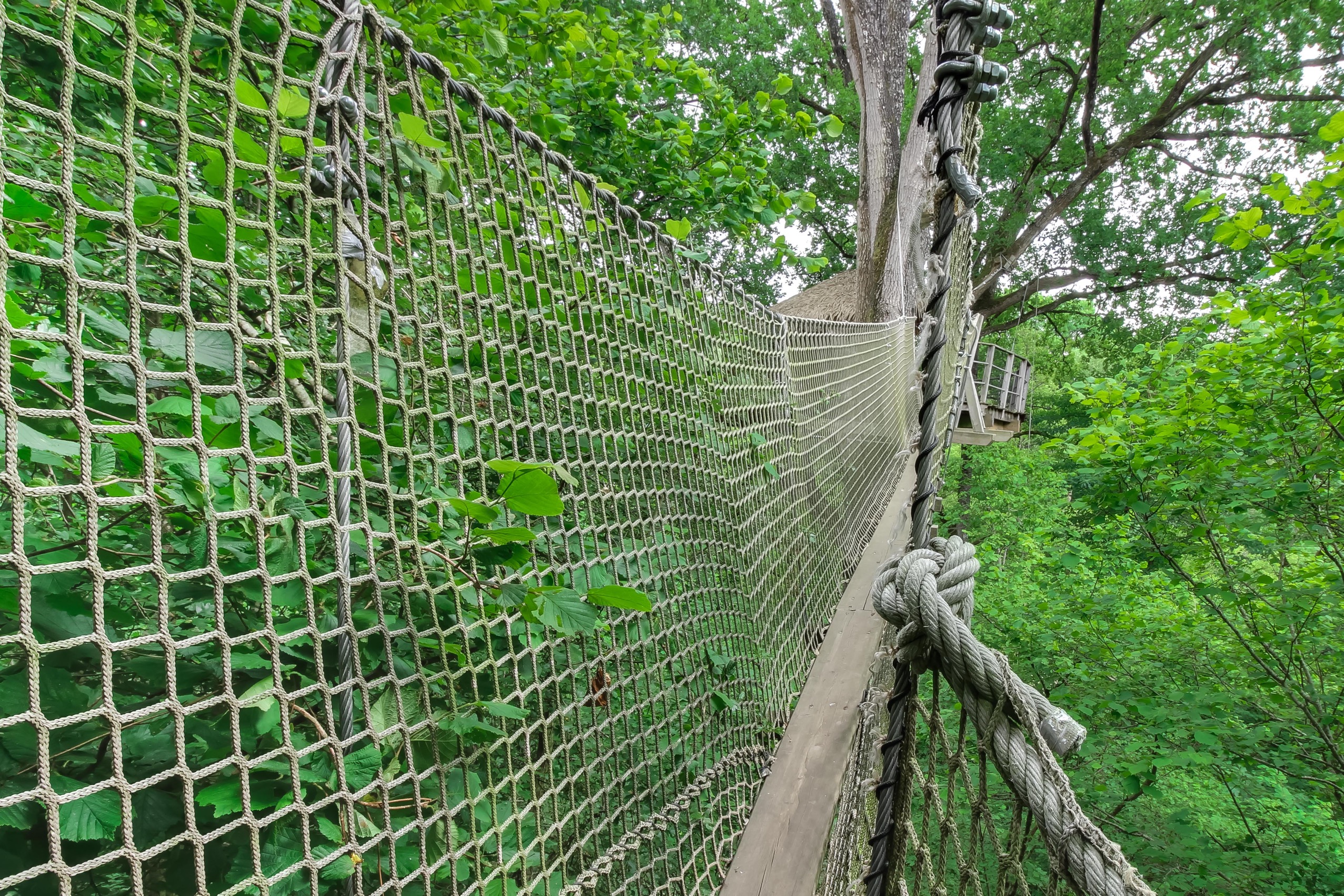 Une cabane dans les arbres pour une évasion en pleine nature à La Baconnière — espace de vie
