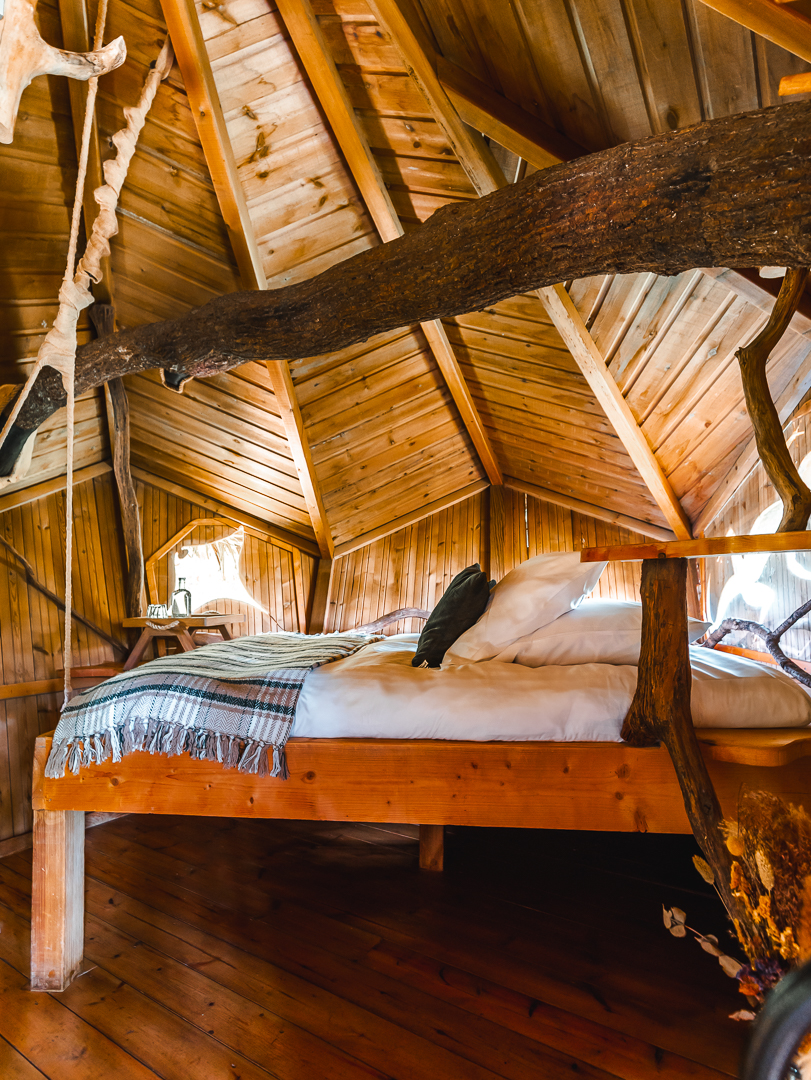 Cabane Spa Murmures : une évasion dans les arbres à Chassey-Lès-Montbozon — vue intérieure