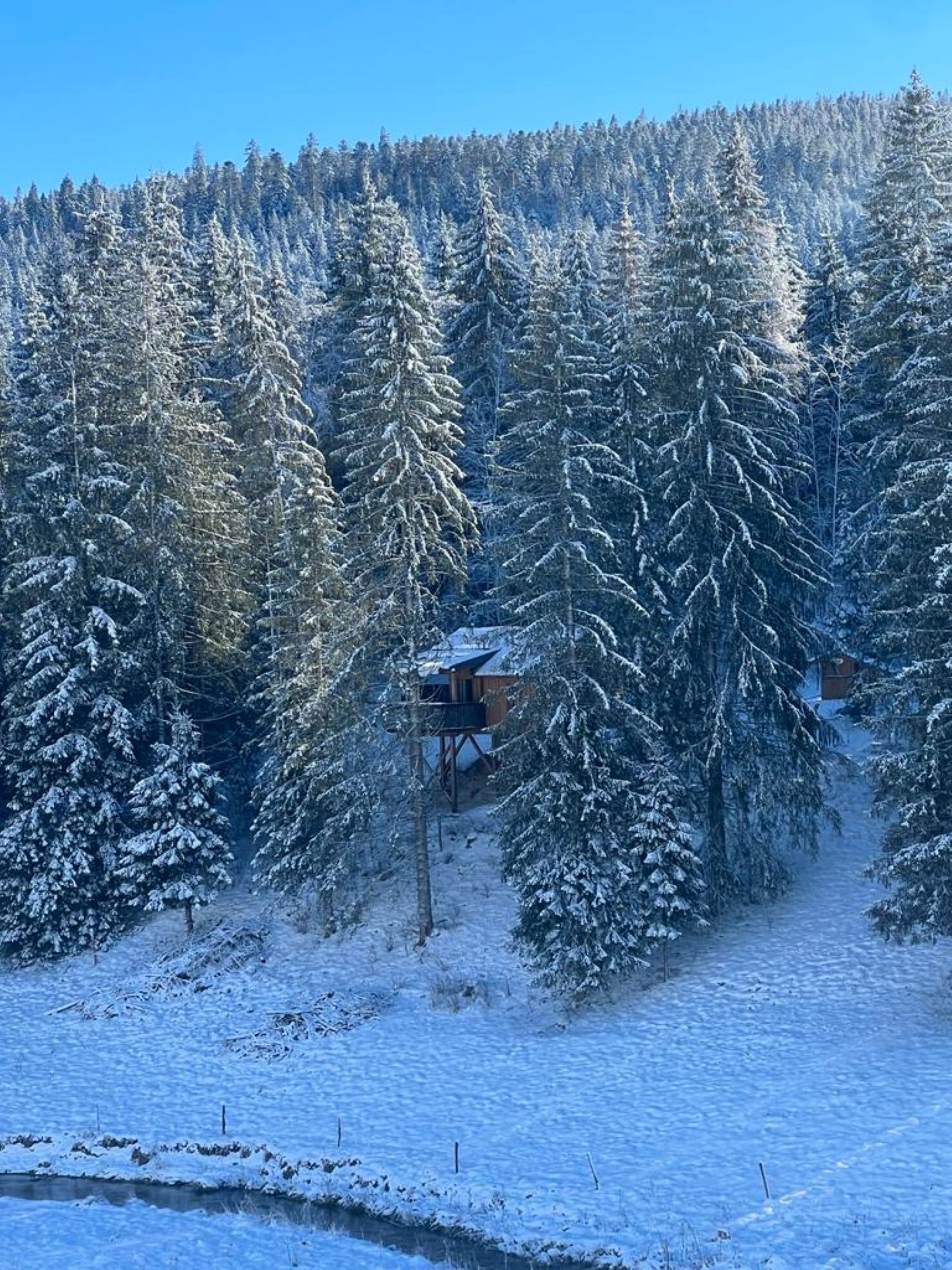 Cabane La Cébriot : une escapade bien-être en Franche-Comté à Petite Chaux — vue depuis la terrasse