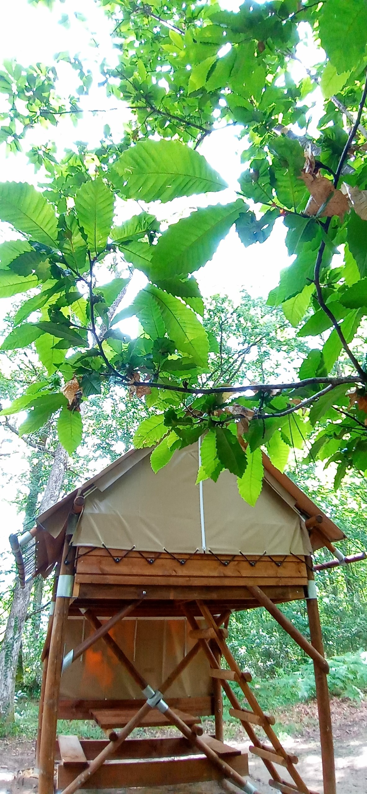 Tente Moonrise — Nuit en hauteur à 8m en Dordogne à Coursac — cuisine