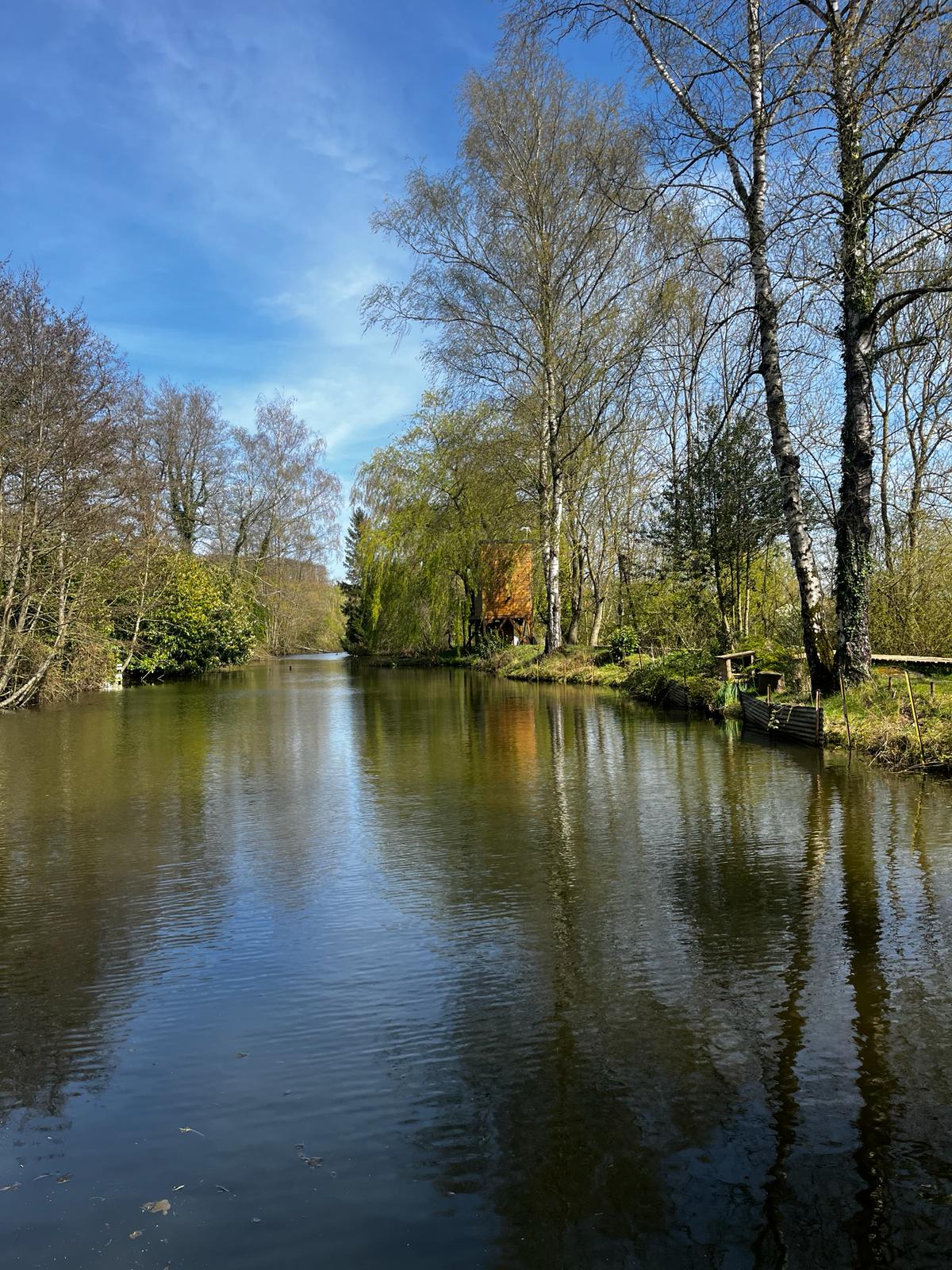 La Tête dans les Étoiles