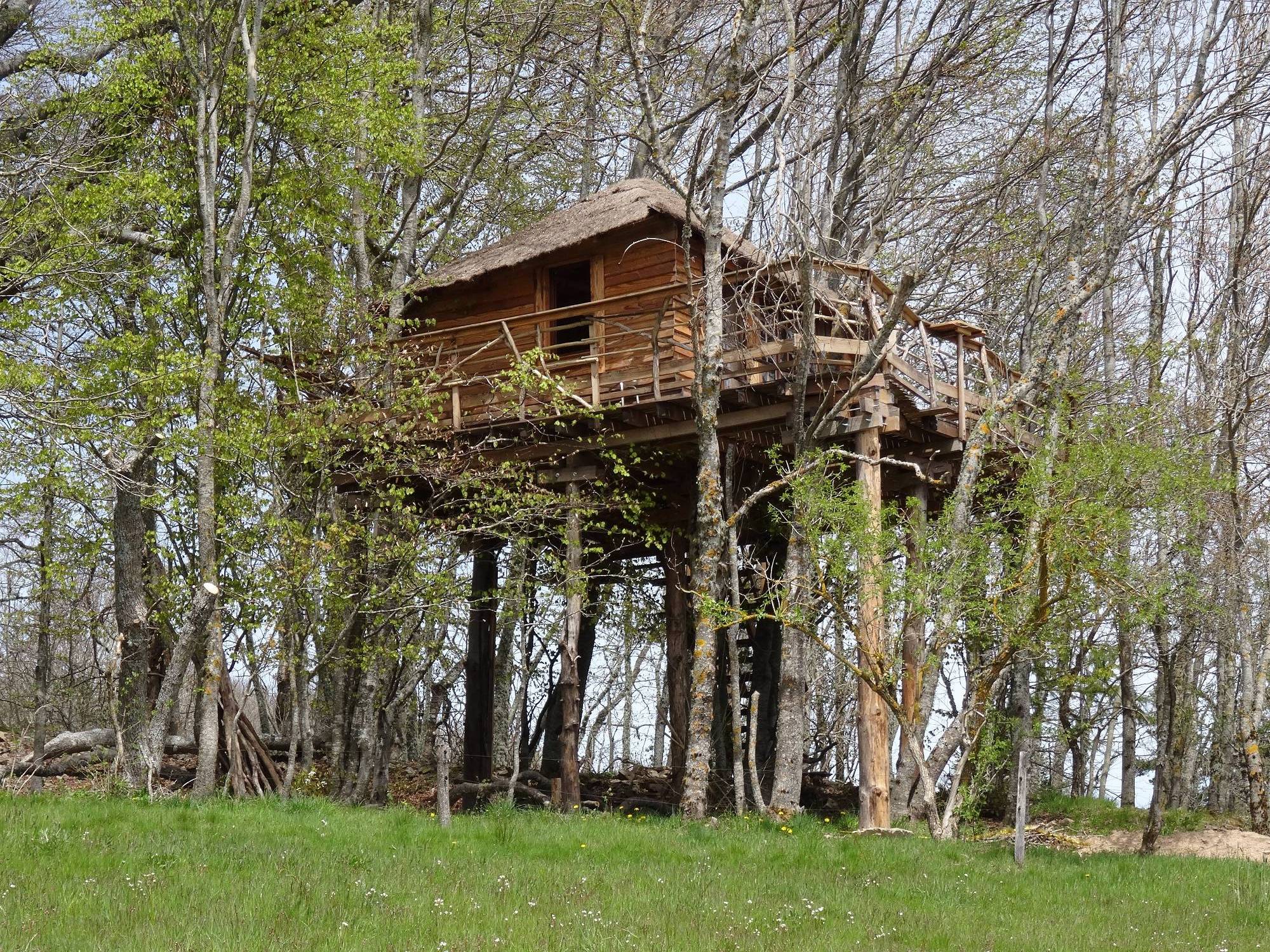La Cabane des Fayards : une expérience suspendue dans les arbres