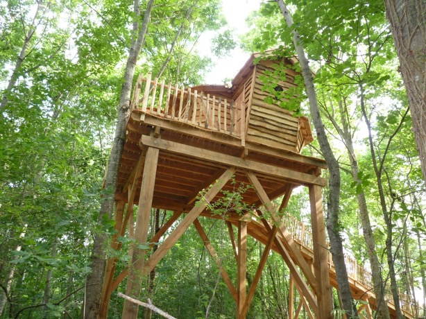 Diane : une cabane dans les arbres au cœur de l'Aquitaine à Loubieng — vue depuis la terrasse