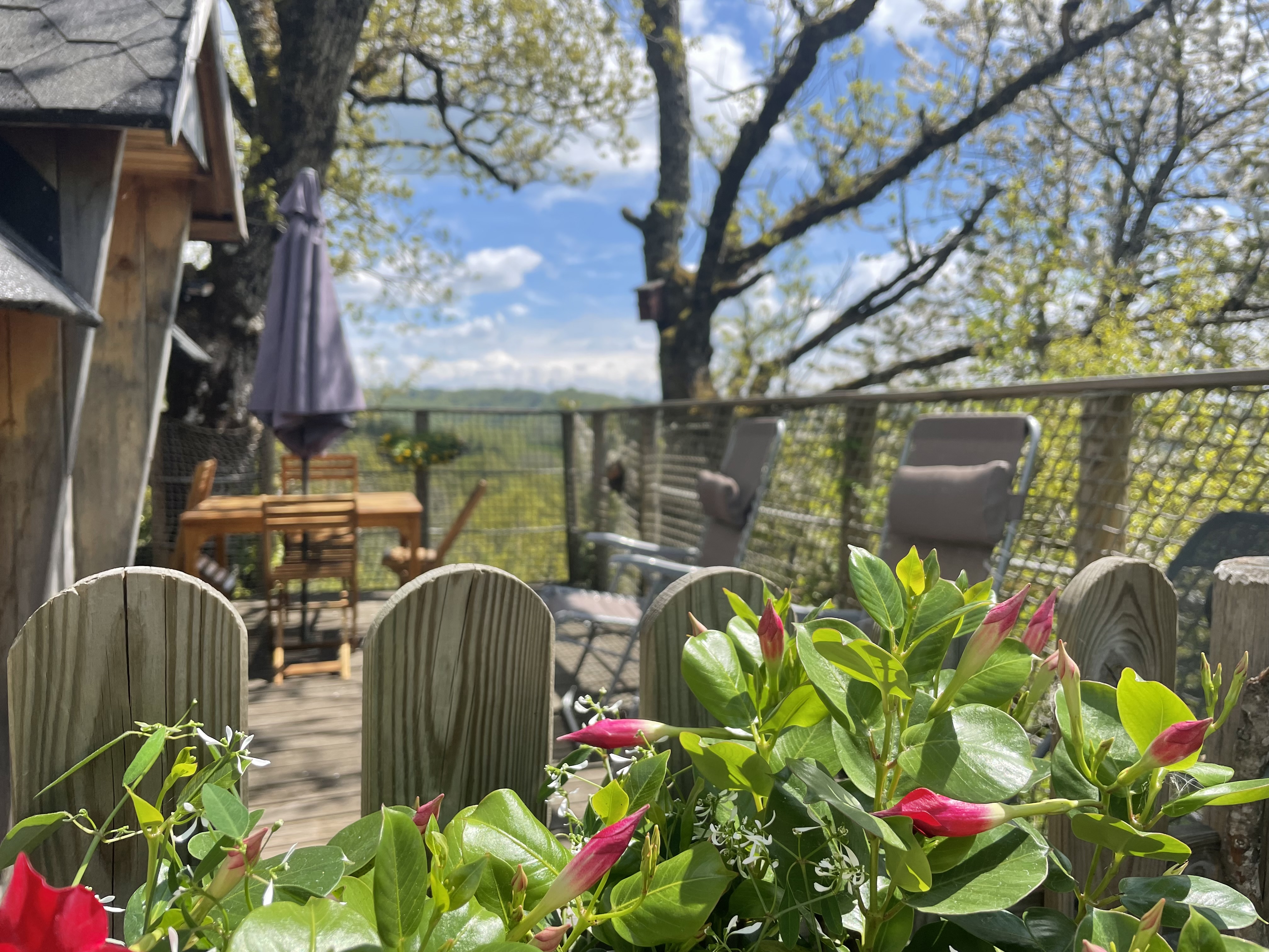 Évasion en cabane dans les arbres à Nonette à St Simon — espace de vie