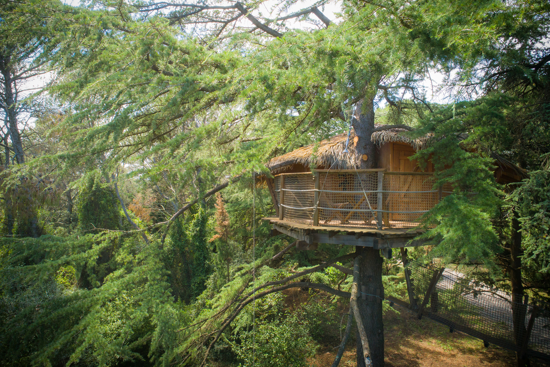 Crécerelle : une cabane dans les arbres au cœur de l'Occitanie à Castries — vue intérieure