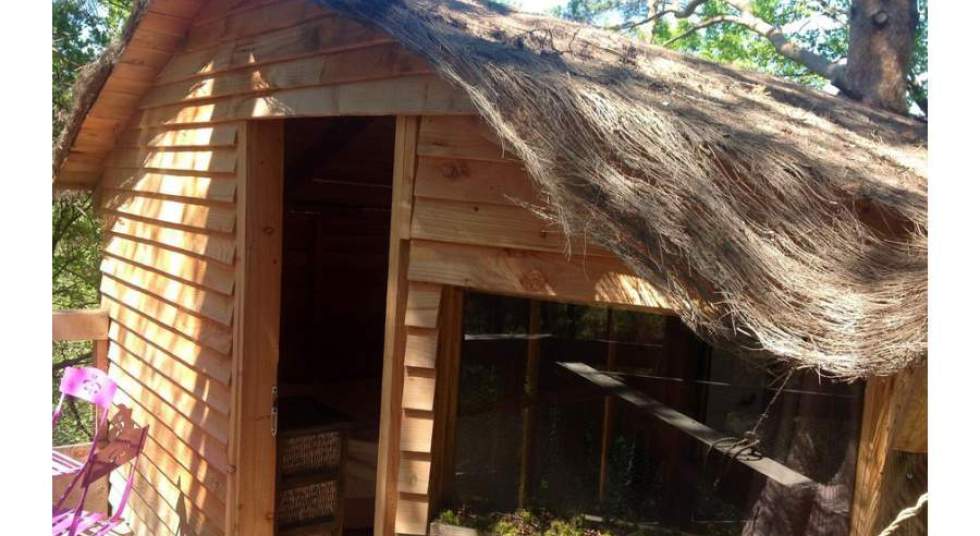 Photo 5/9 — Cabane « La Cabane de Camille : une expérience suspendue dans les arbres » à Beynes Provence-Alpes-Côte d'Azur