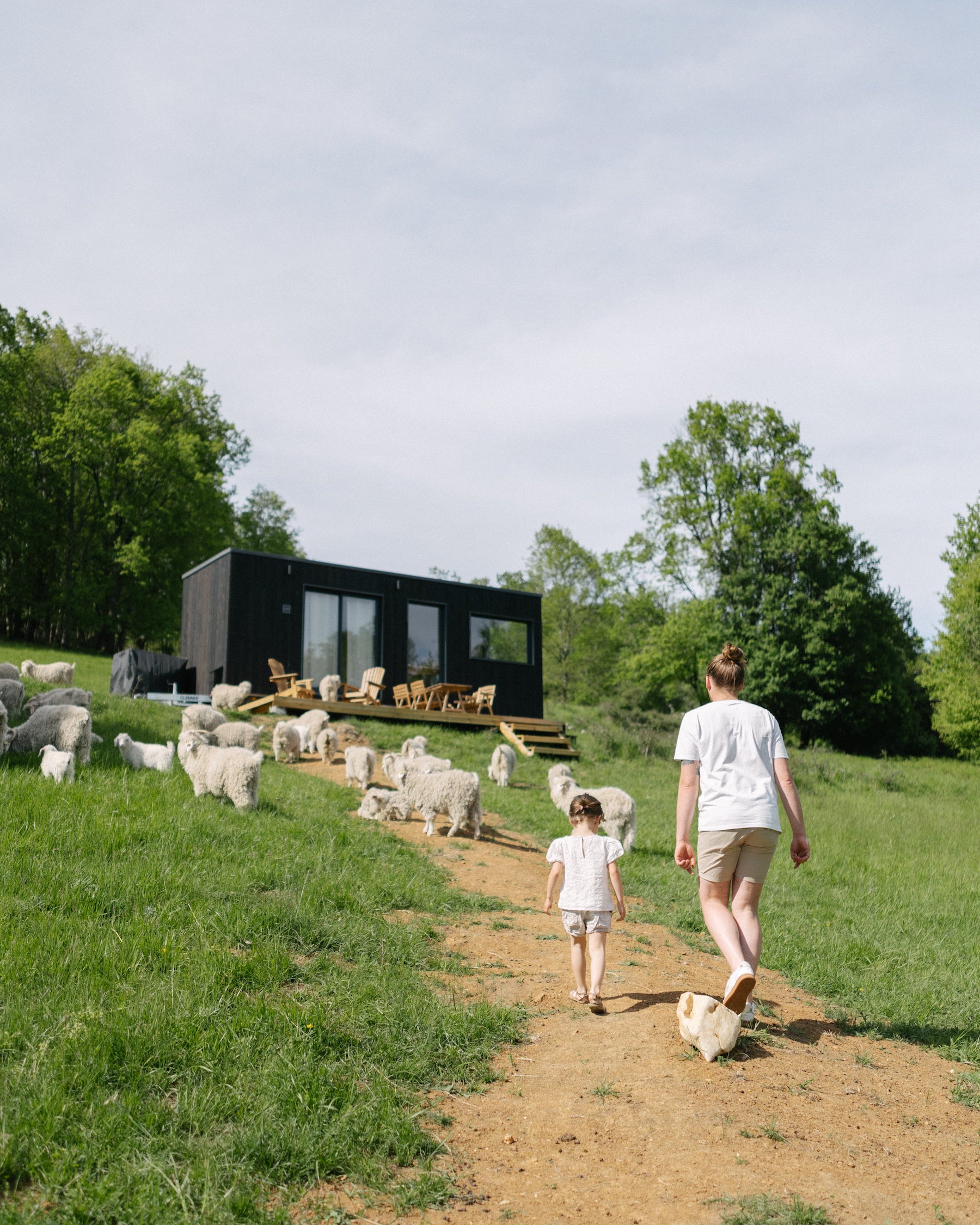 Tiny house face aux Pyrénées : une escapade inspirante à Belbèze-En-Comminges — vue intérieure