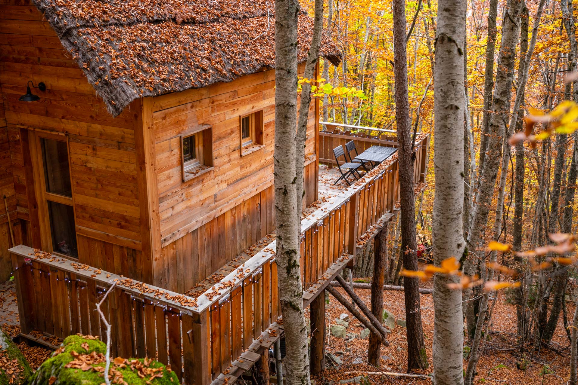 Cabane des Sylphes & Spa — Cabane sur pilotis avec spa à Saint-Léger (Hautes-Alpes) à Saint-Léger-les-Mélèzes — espace de vie