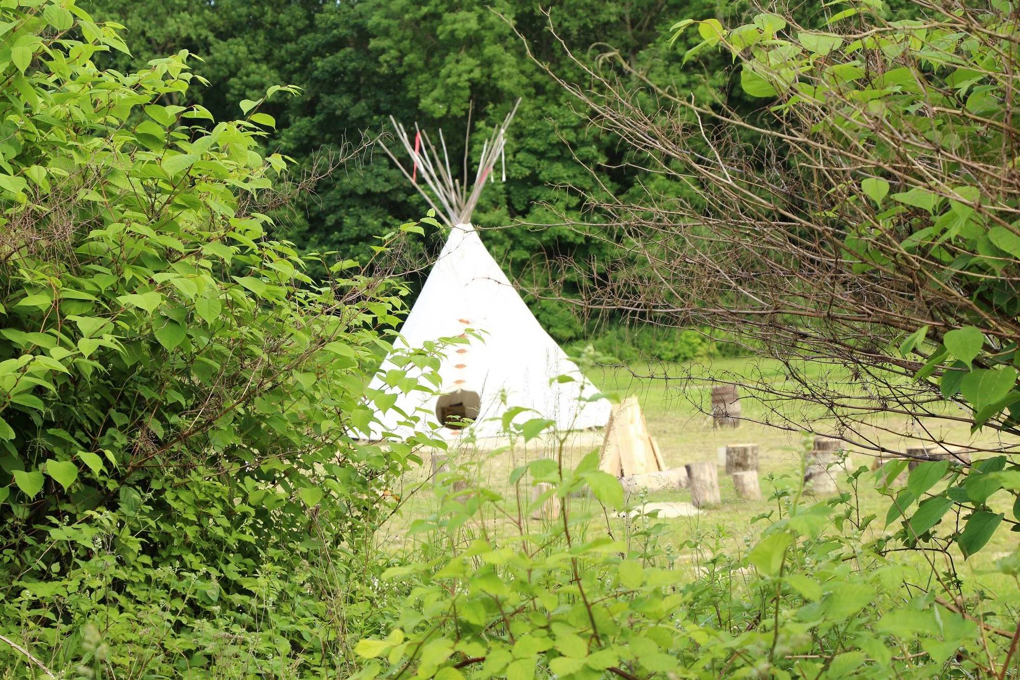 Vivez l'expérience unique d'un tipi en Champagne-Ardenne à Barberey St Sulpice — détail architectural