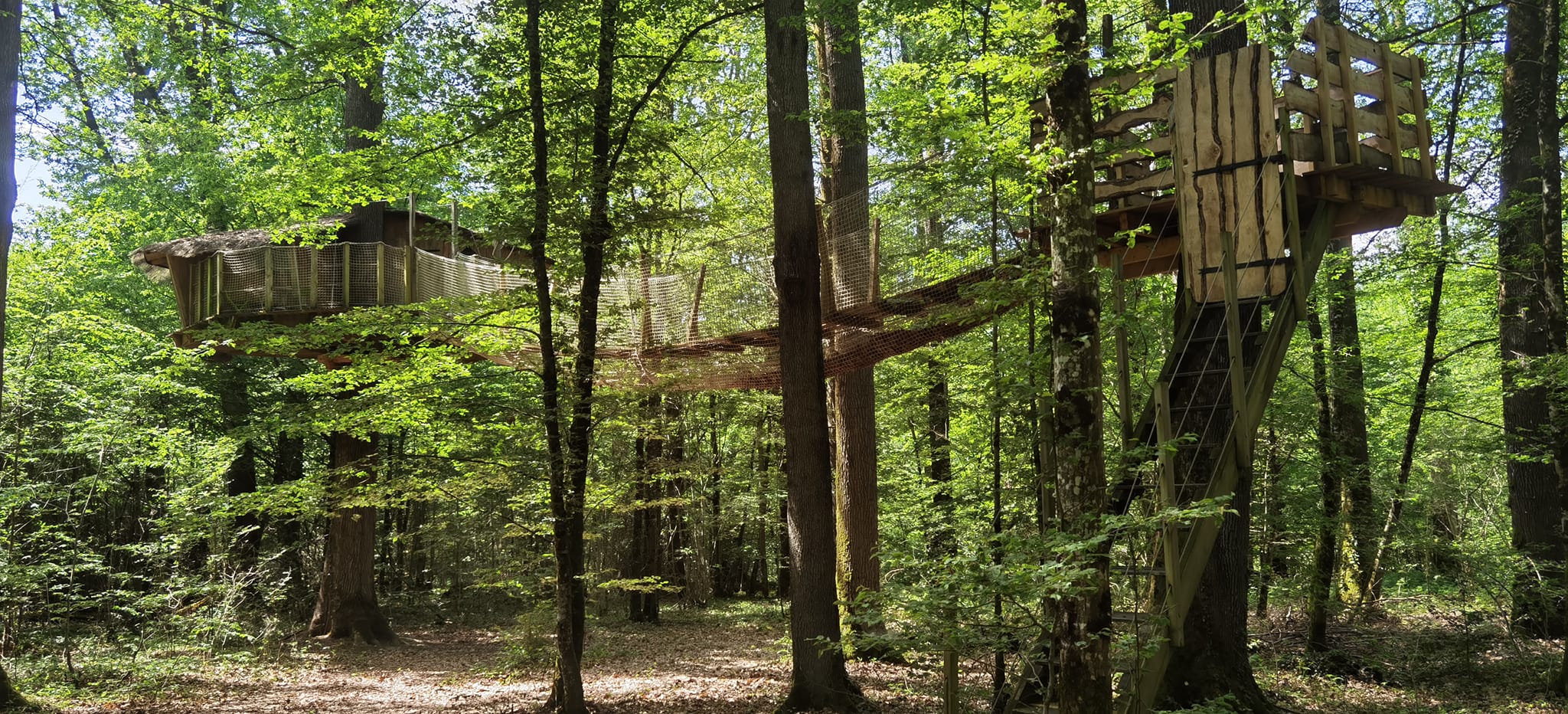 Cabane champignon : une expérience suspendue dans les arbres — Cabane à Giffaumont