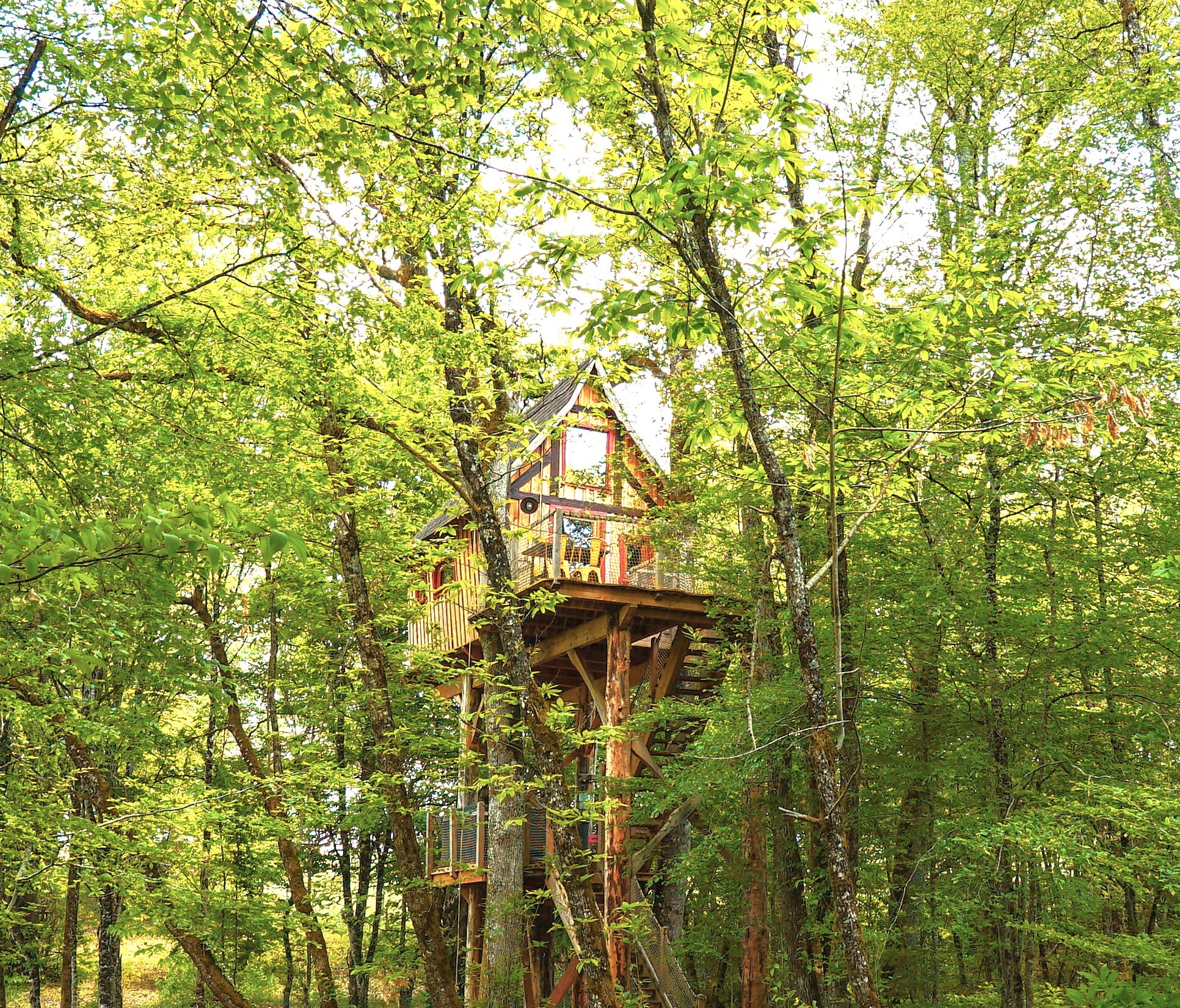 Cabane avec Spa "Cartoon" — Nuit perchée à 8m dans le Lot