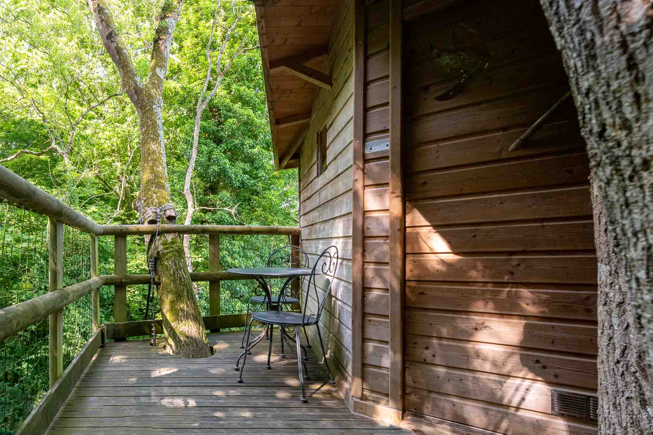 Cabane Rossignol — Nuit perchée à 10m dans les arbres en Calvados à Caen — espace de vie