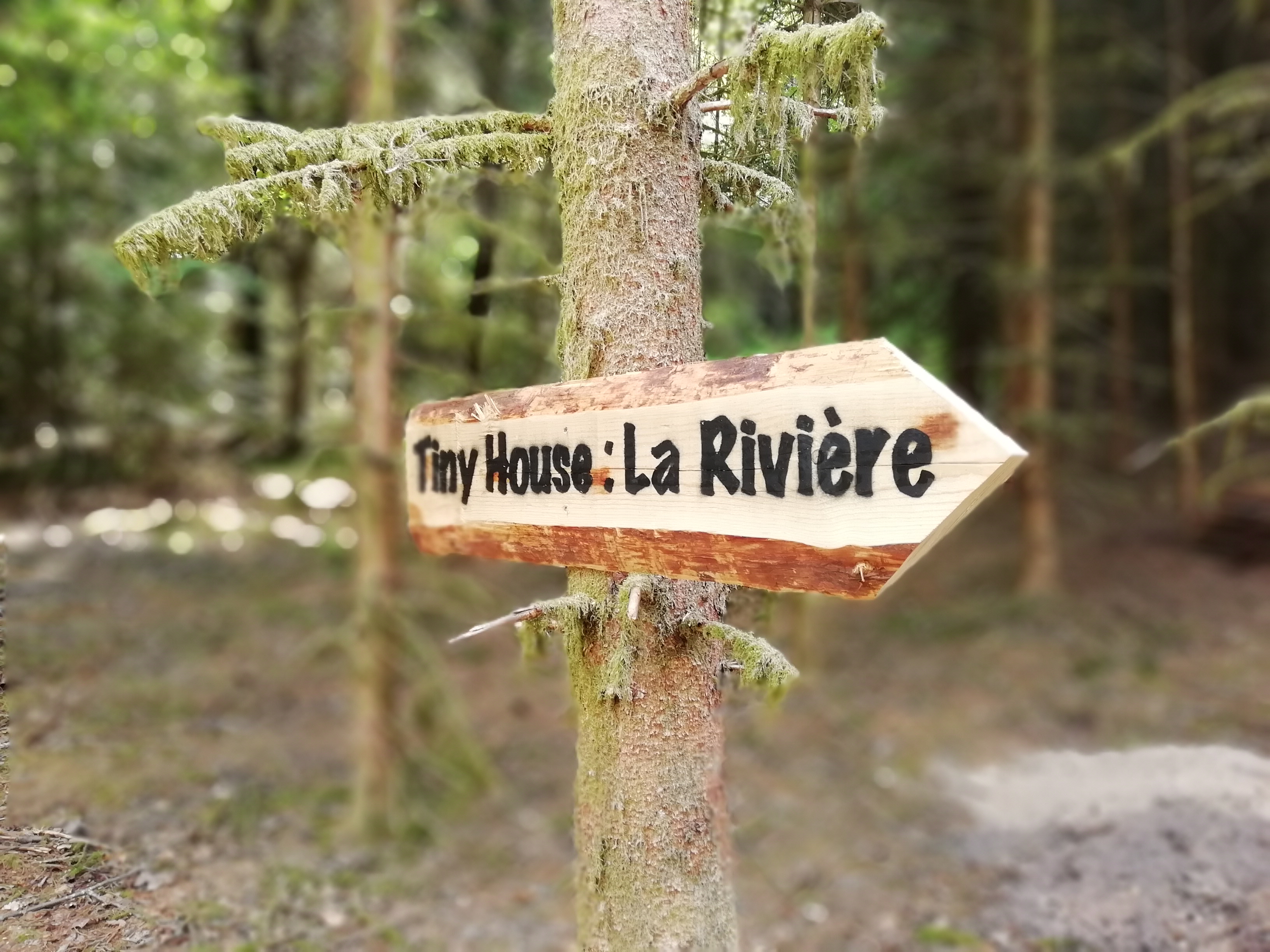 Tiny House La Rivière — Séjour écologique au bord de la rivière dans les Vosges à Épinal — environnement naturel