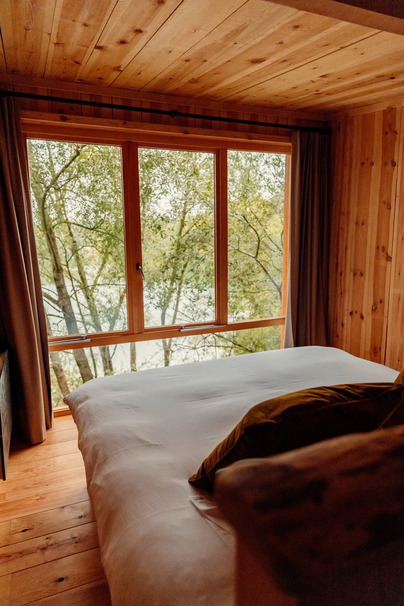 Cabane Spa Grand Horizon : une évasion sur pilotis en Picardie à St-Léger-Aux-Bois — environnement naturel