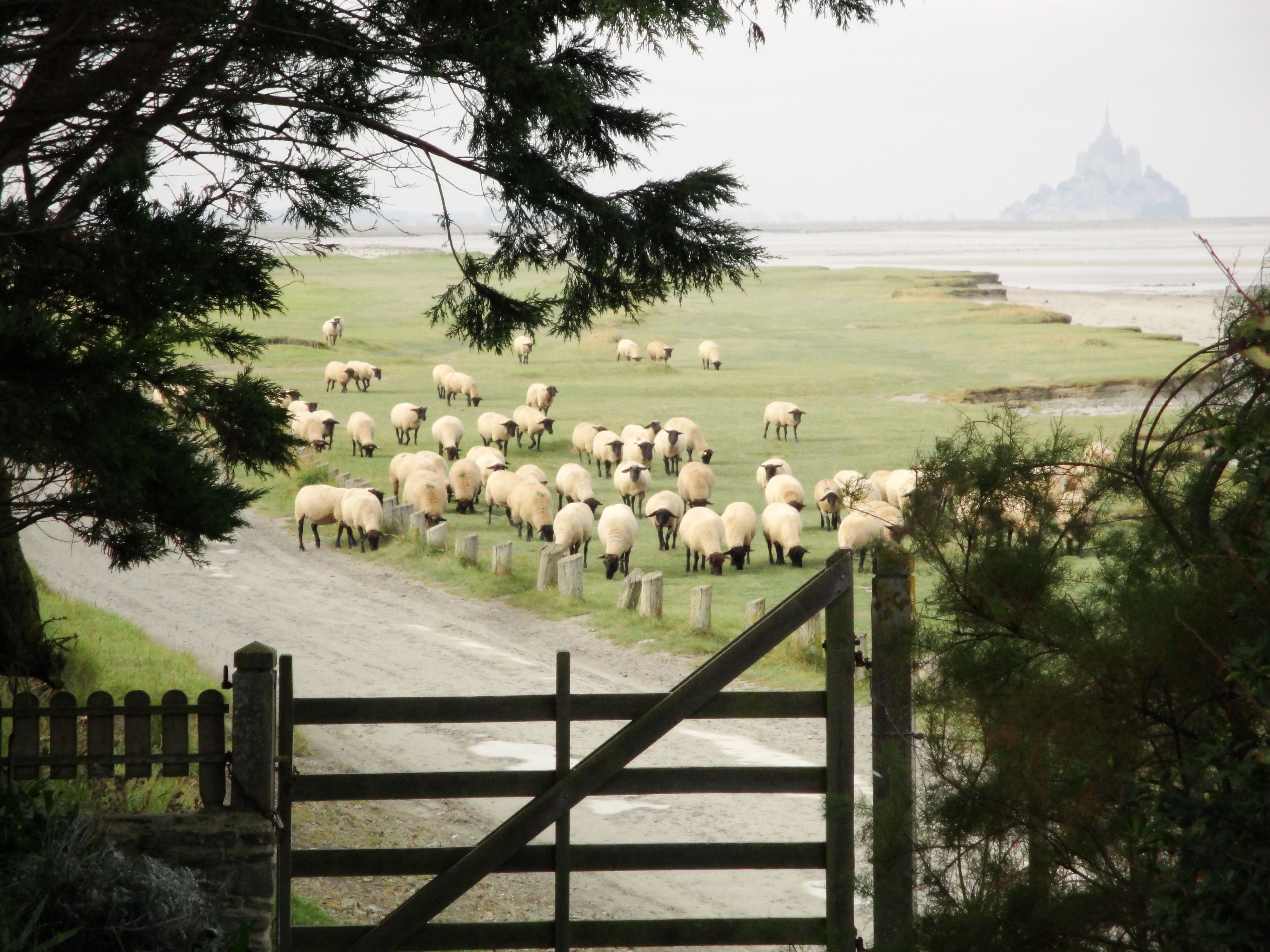 Cabane douanier en baie du Mont Saint Michel : une escapade en Basse-Normandie à Courtils — chambre