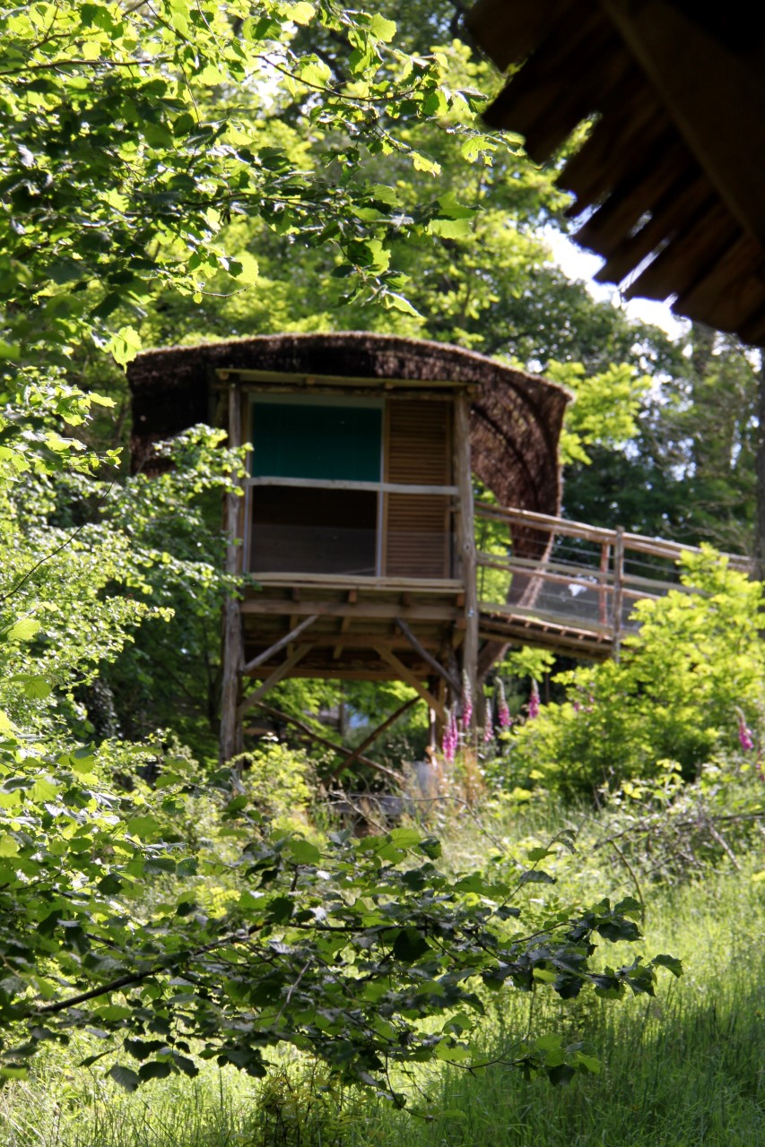 Chambre Nid 2 : une cabane au cœur des Pays de la Loire à Les Epesses — chambre