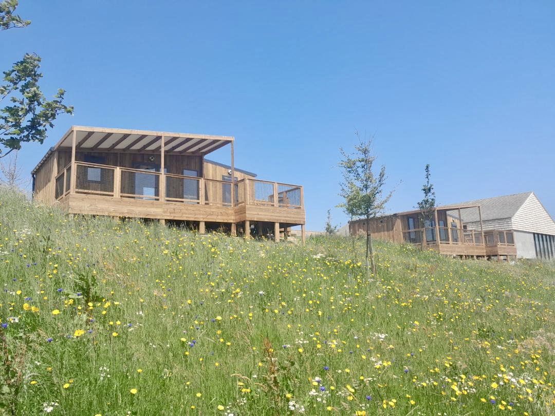 Cottage Premium : une cabane sur pilotis en Haute-Normandie