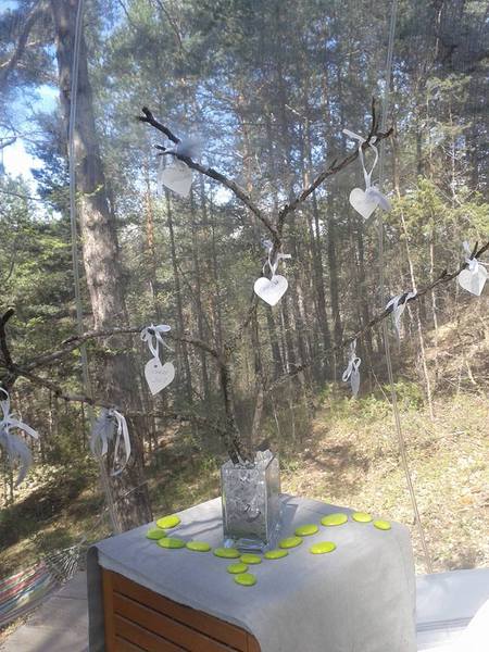 La Bulle des Nymphes : une expérience unique en Provence à Beynes — vue intérieure