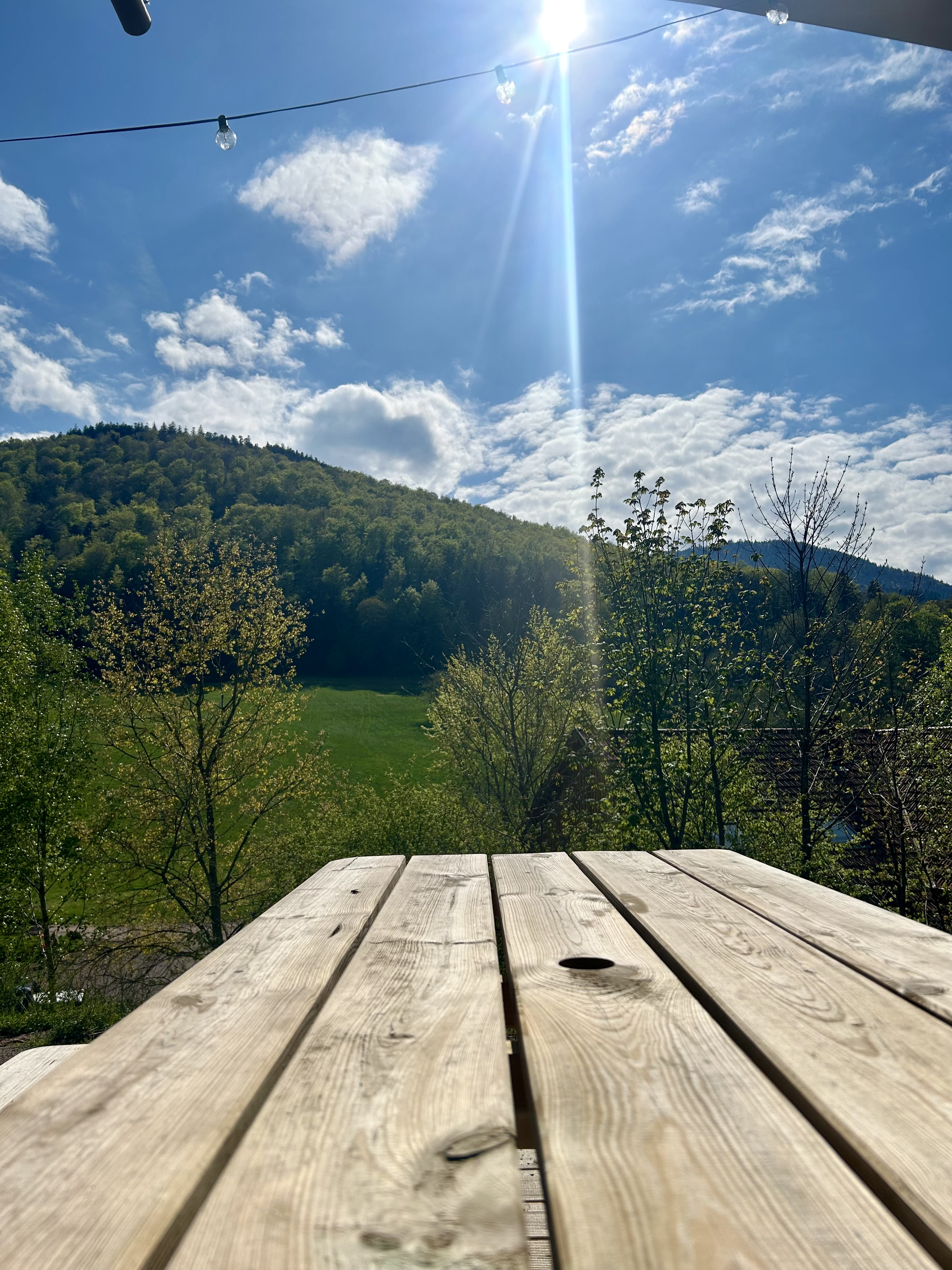 Vivez l'expérience unique d'un Wood Lodge en Alsace à Oberhaslach — environnement naturel