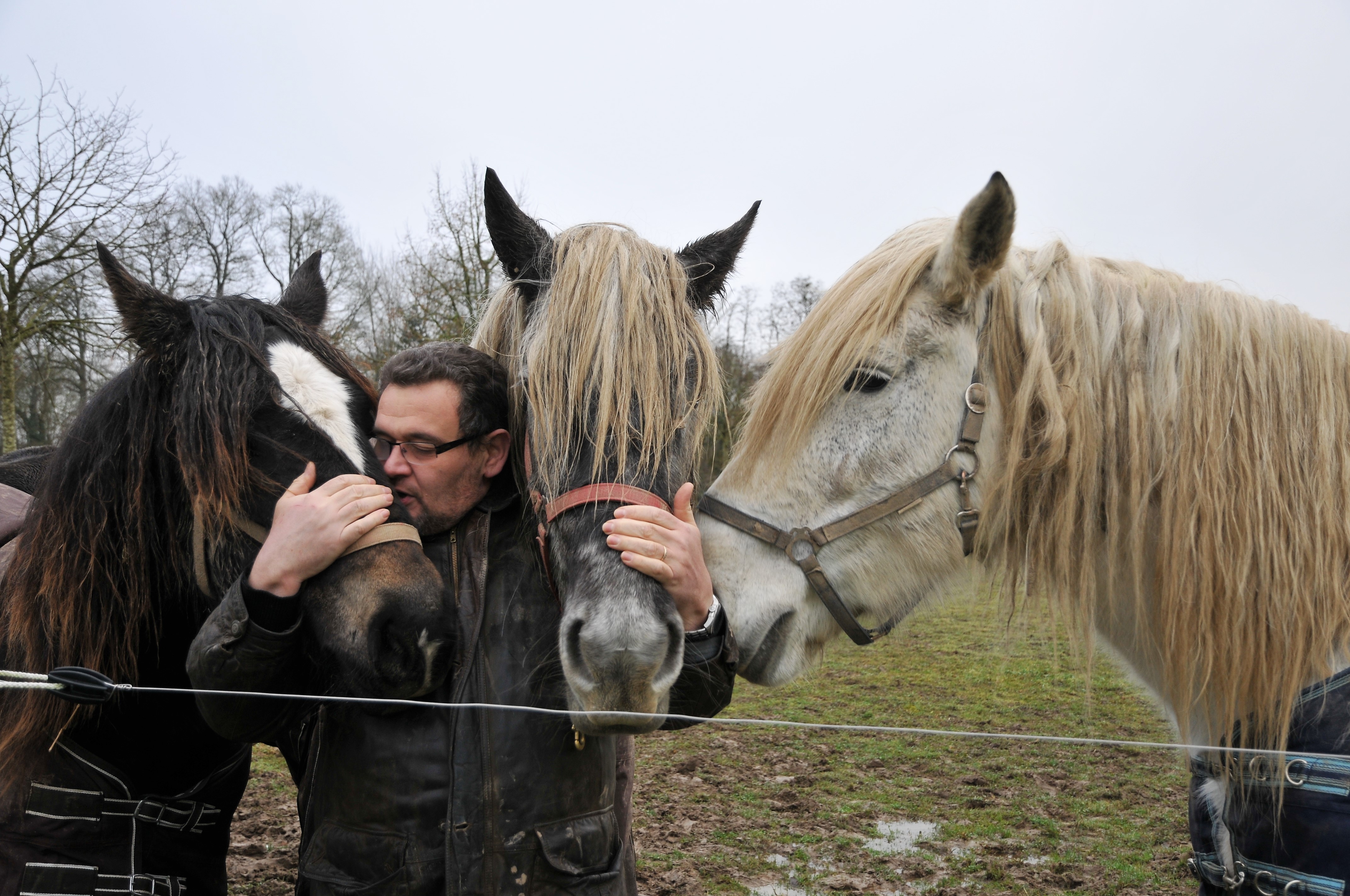 Évasion sensorielle dans la Suite Saint Honoré en Basse-Normandie à St Denis Sur Huisne — détail architectural