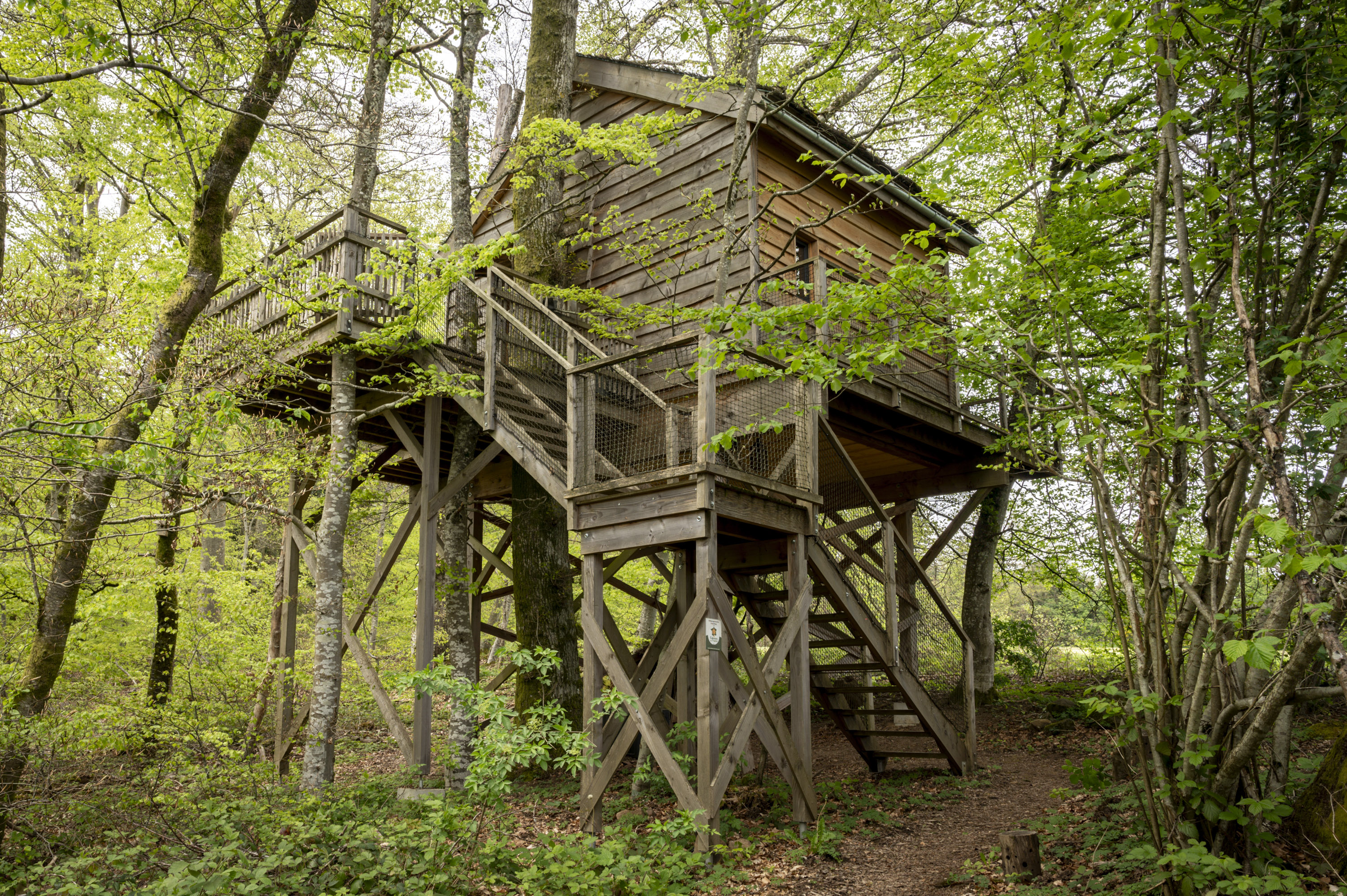 La Pat' de l'ours : une cabane perchée au cœur de la nature à Raon Aux Bois — espace de vie
