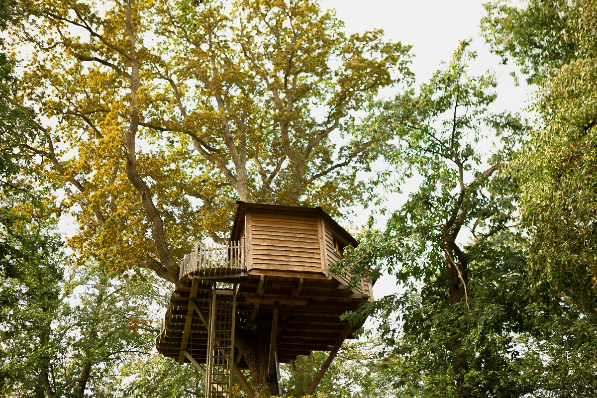 Cabane imprenable : une échappée belle dans les arbres