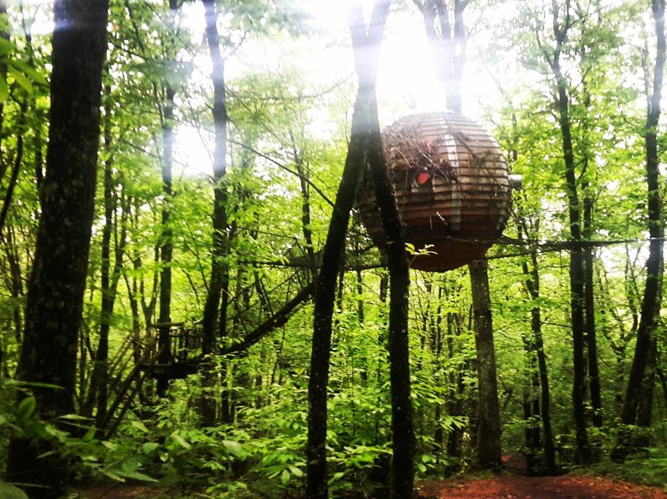 Séjournez dans un lov'nid enchanteur en Aquitaine à Lanouaille — vue intérieure