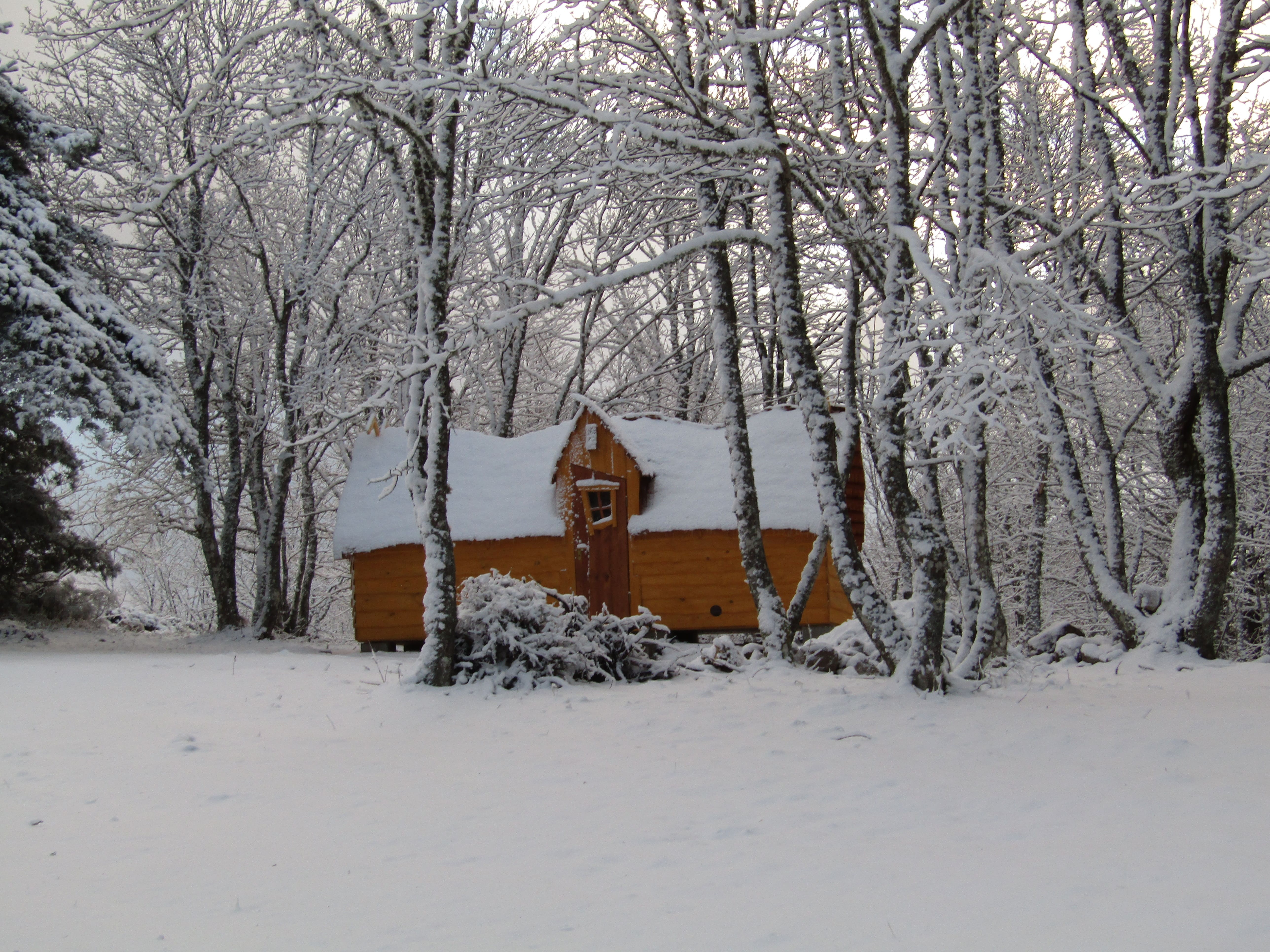 Cabane Carabosse : un séjour enchanteur en pleine nature — Cabane à Cros De Géorand