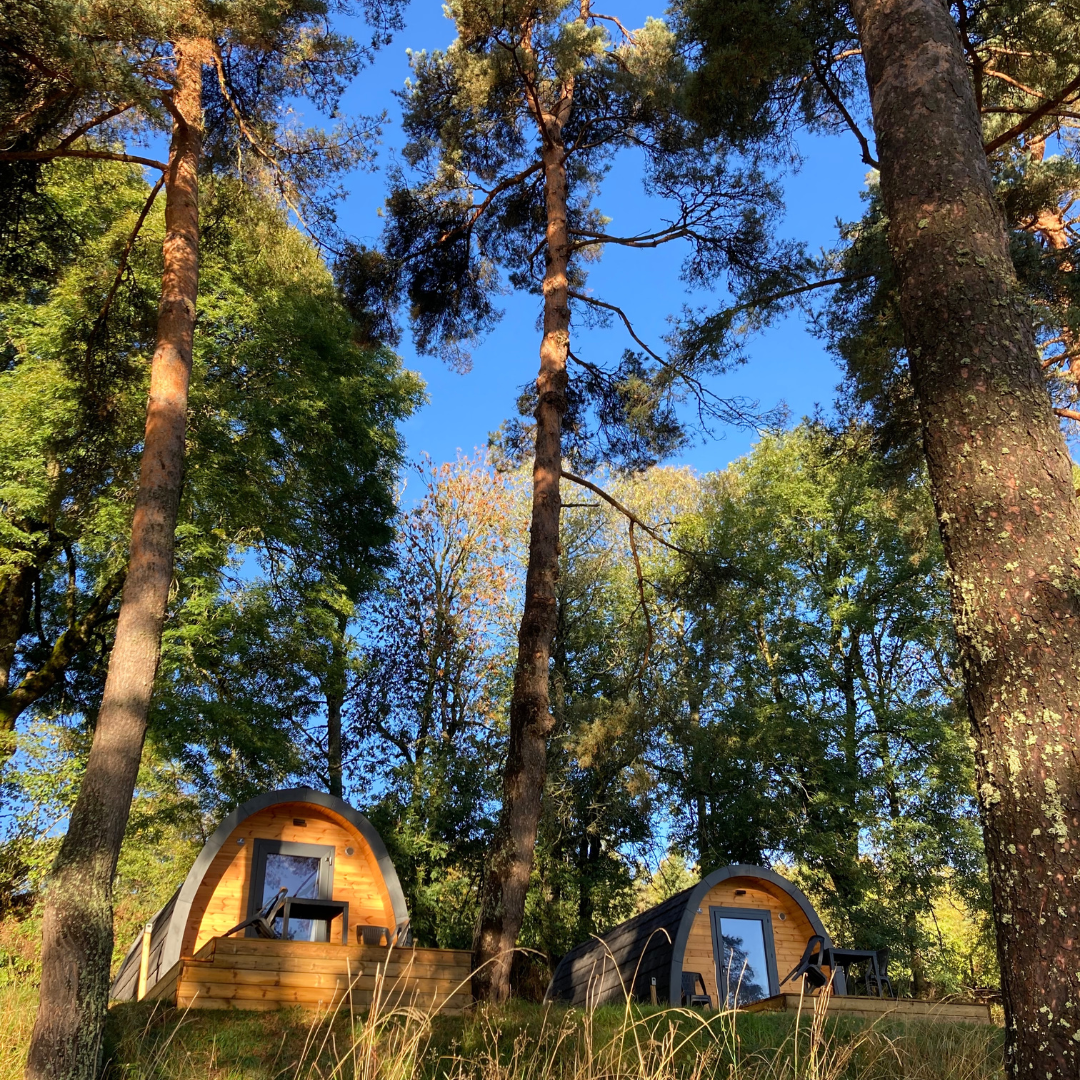 Pod Cocon : une immersion unique en Auvergne à Neuveglise-Sur-Truyère — vue intérieure