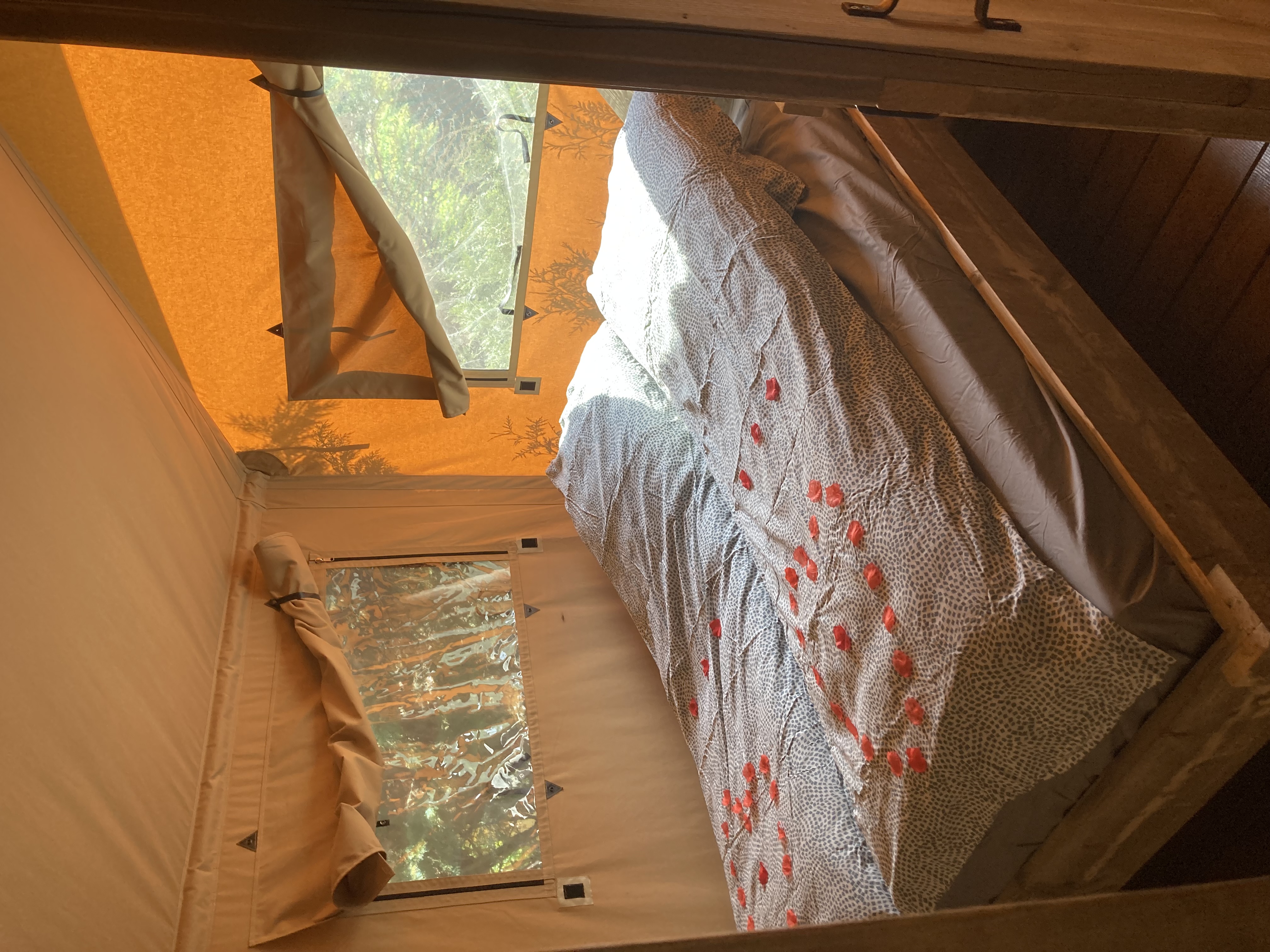 Tente Safari XXL sur Pilotis — Tente avec Spa à Oise à Bresles — vue depuis la terrasse