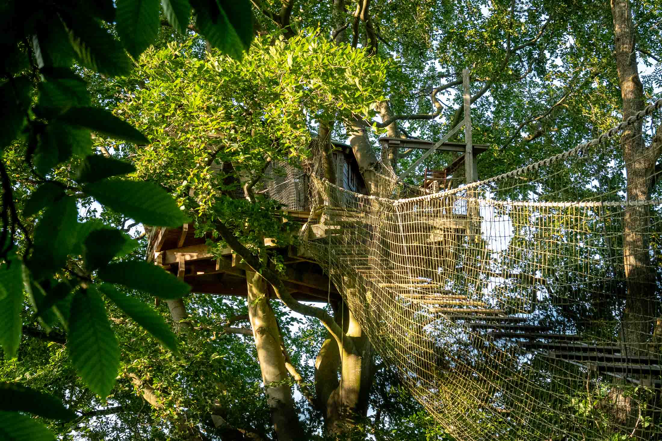 Cabane Grand Duc — Nuit perchée à 21m dans les arbres en Calvados