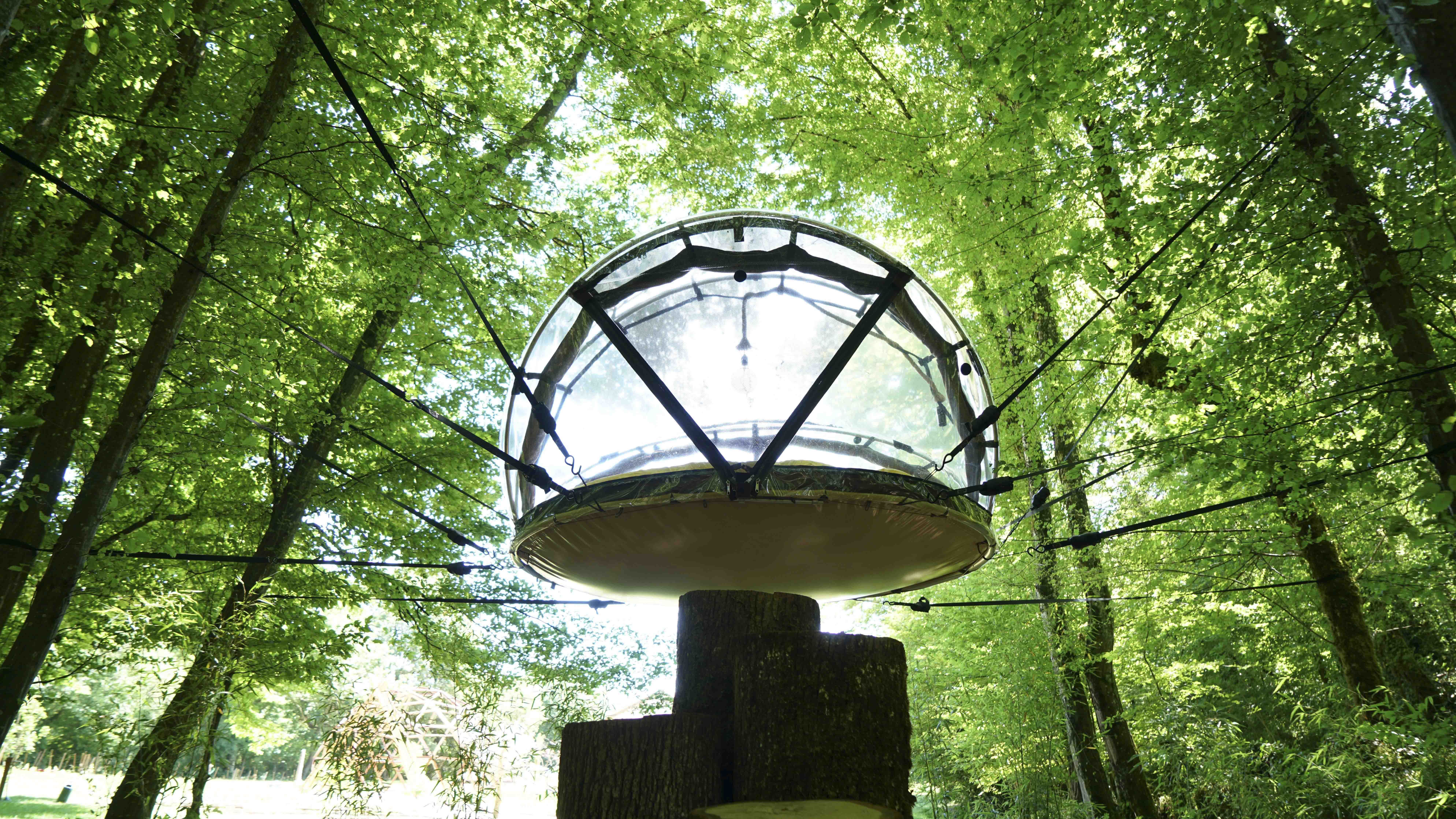 Bulle suspendue - Royaume des gourmets
