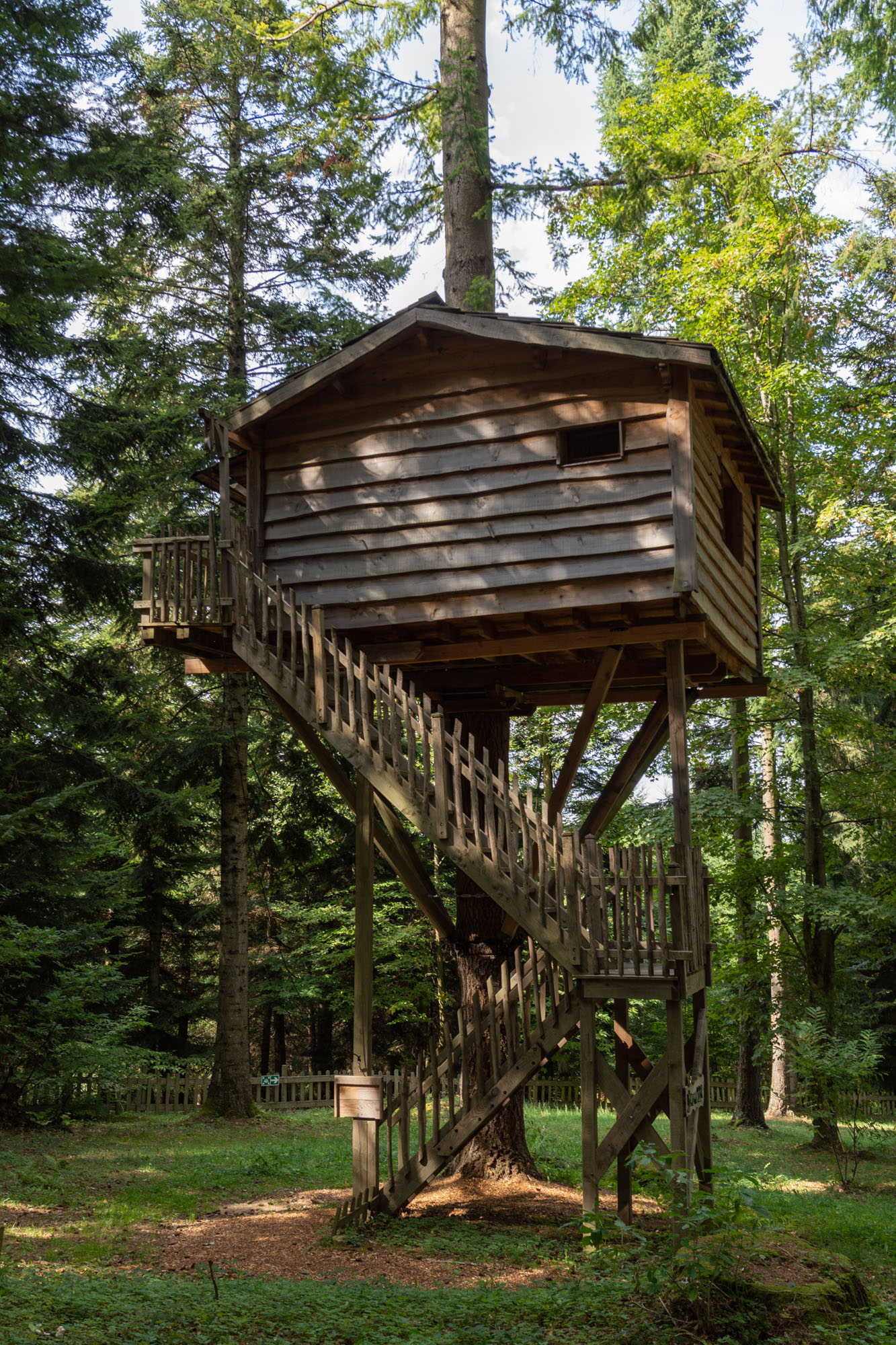 Cabane Marmotte : une expérience suspendue dans les arbres à Saint-Julien-Labrousse — environnement naturel