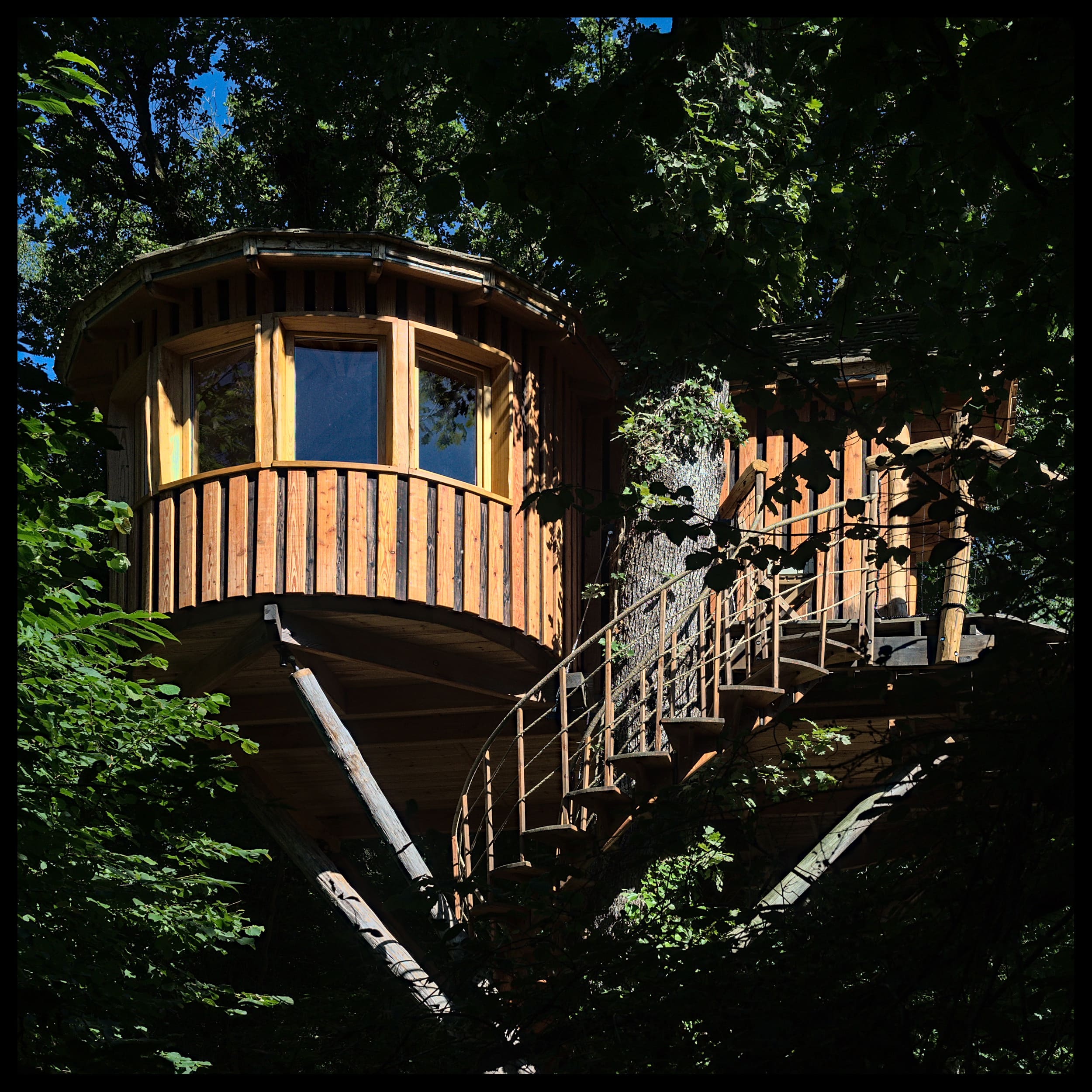 Aima : une cabane perchée au cœur des arbres en Aquitaine à Accous — espace de vie